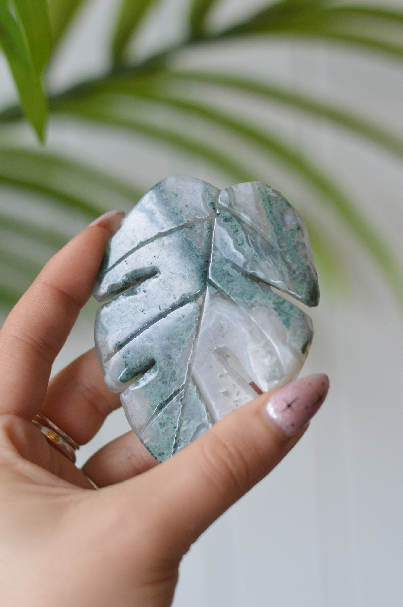 Moss Agate Leaf