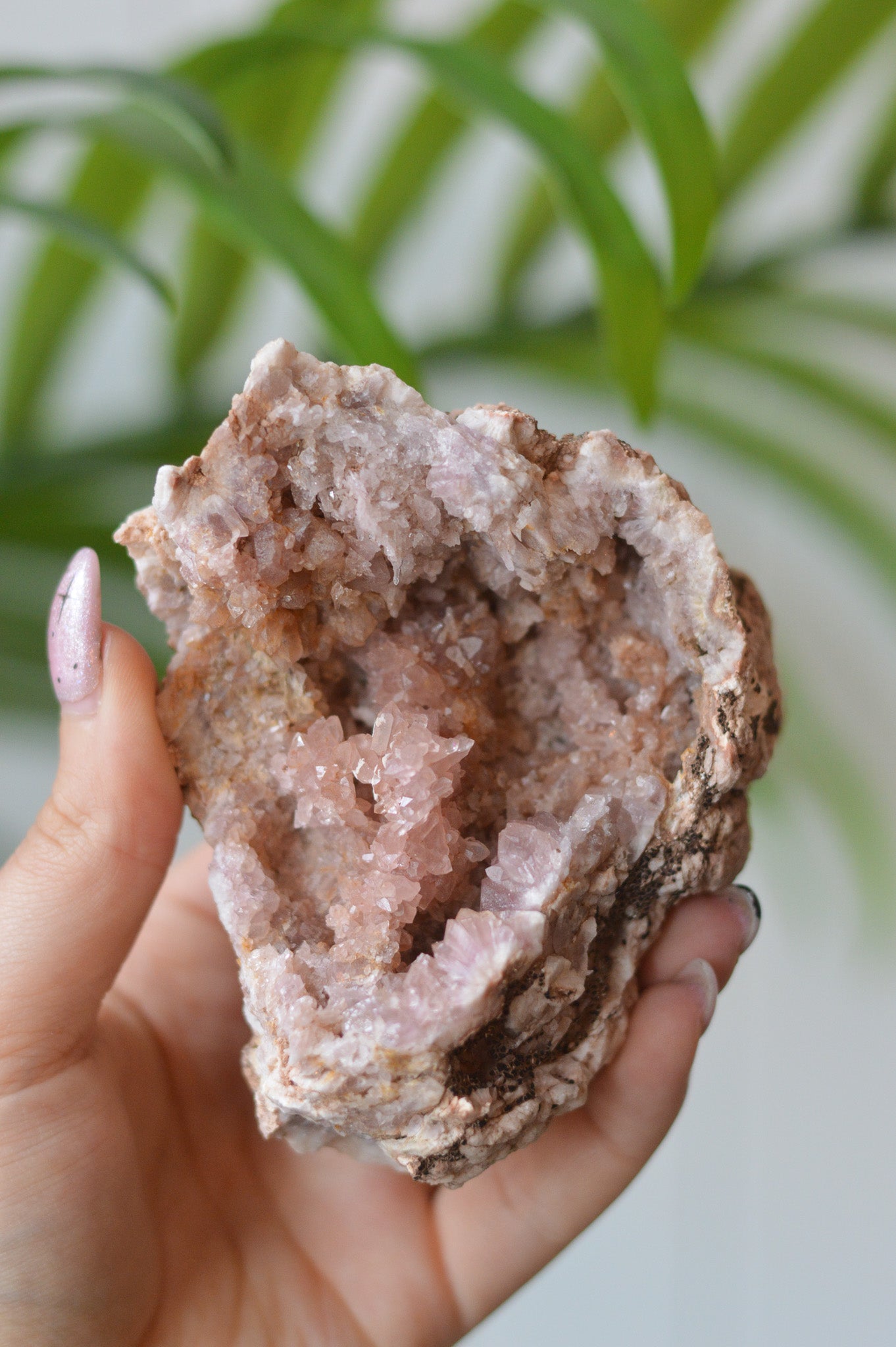 Pink Amethyst Cluster
