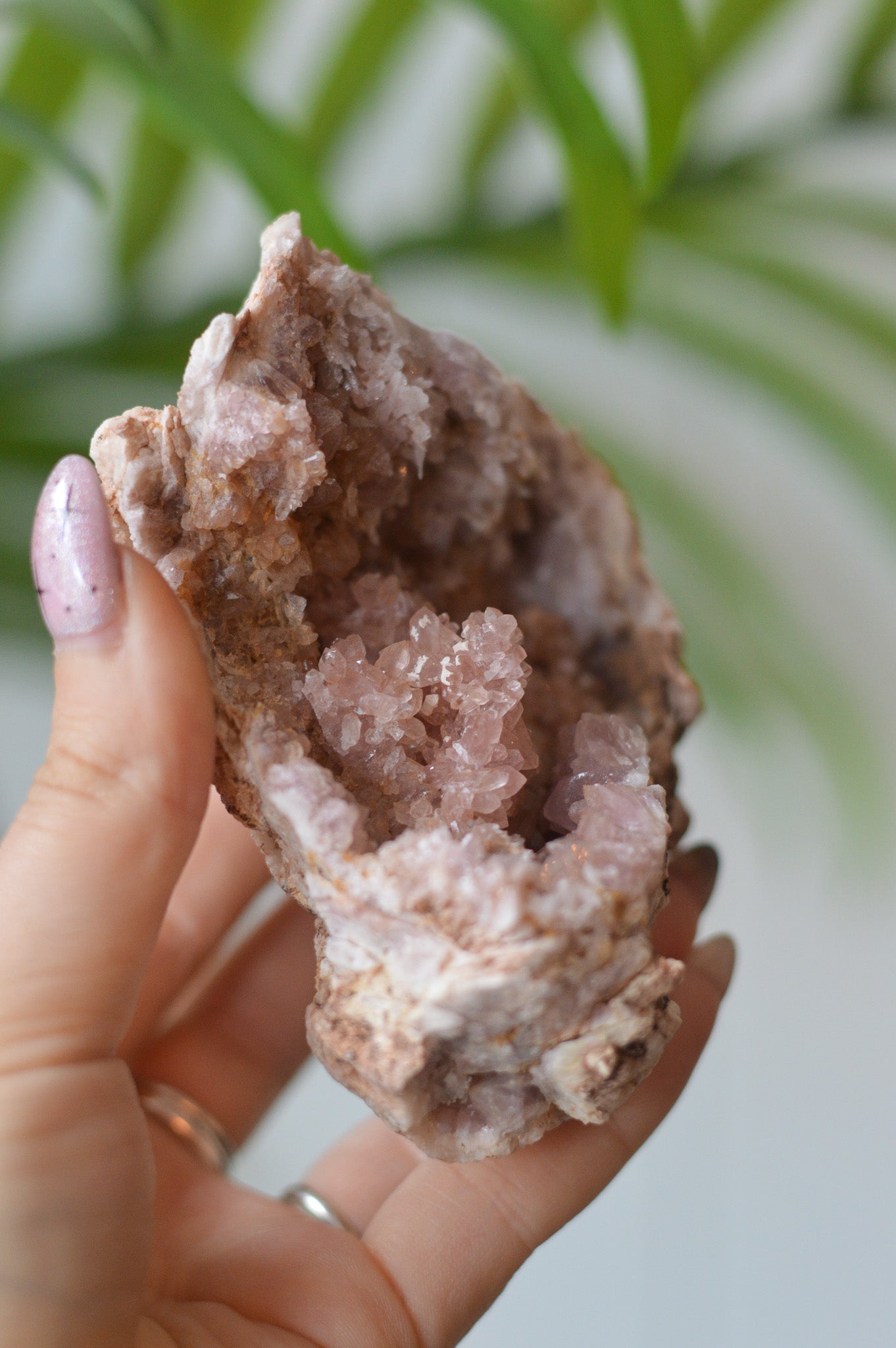 Pink Amethyst Cluster