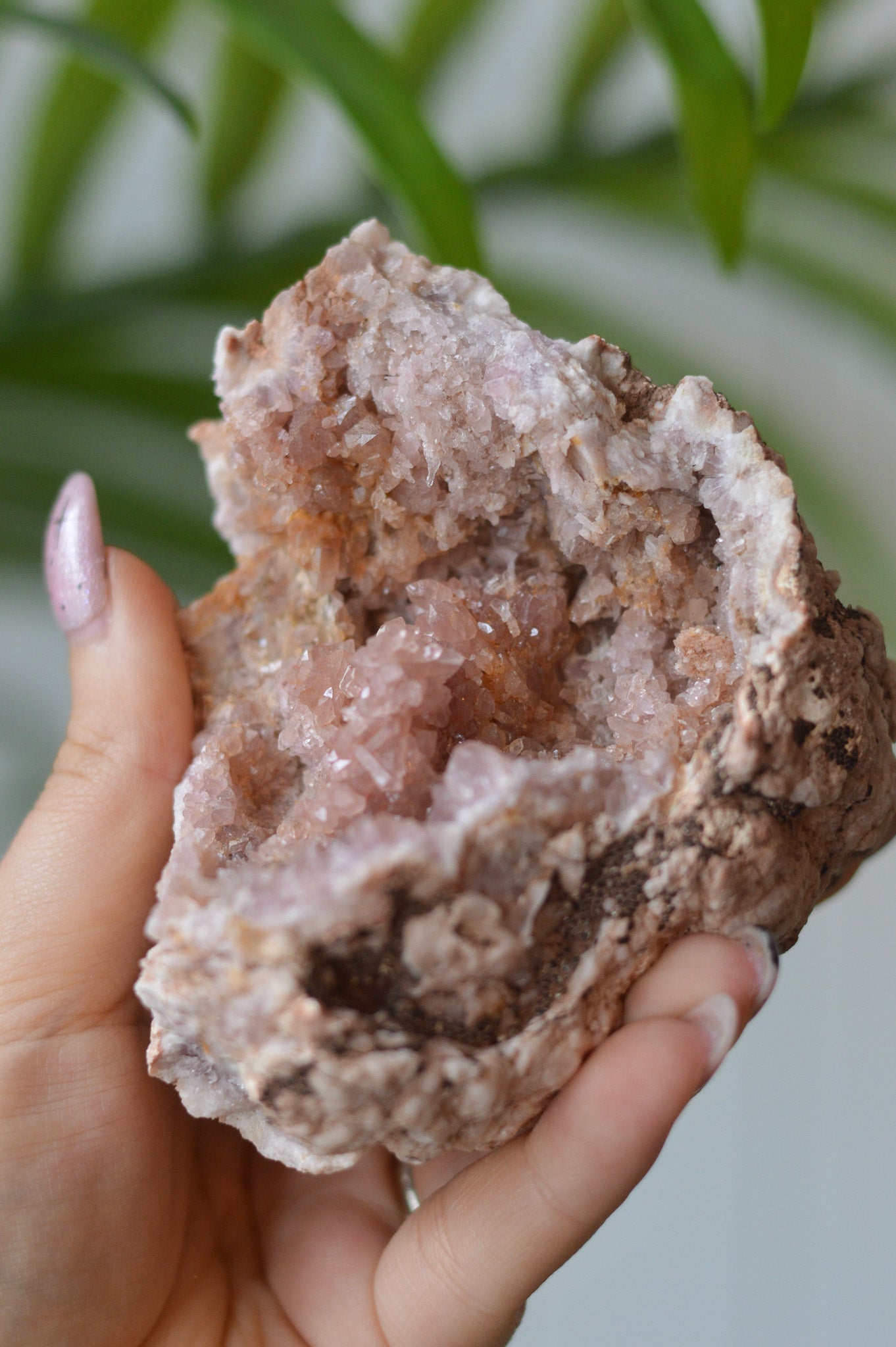 Pink Amethyst Cluster