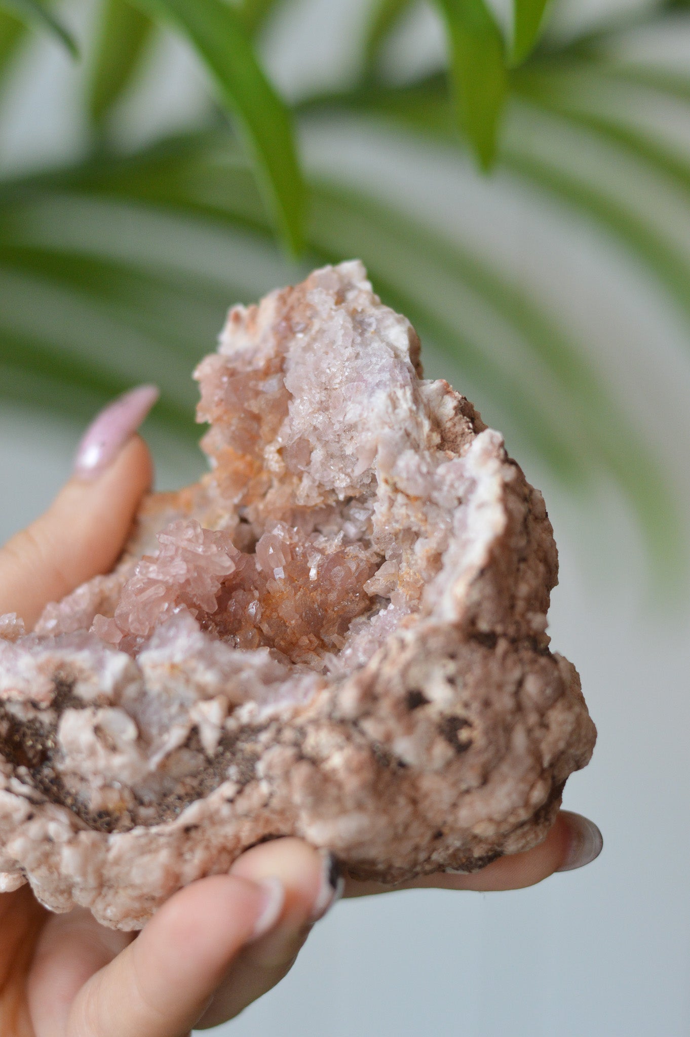 Pink Amethyst Cluster