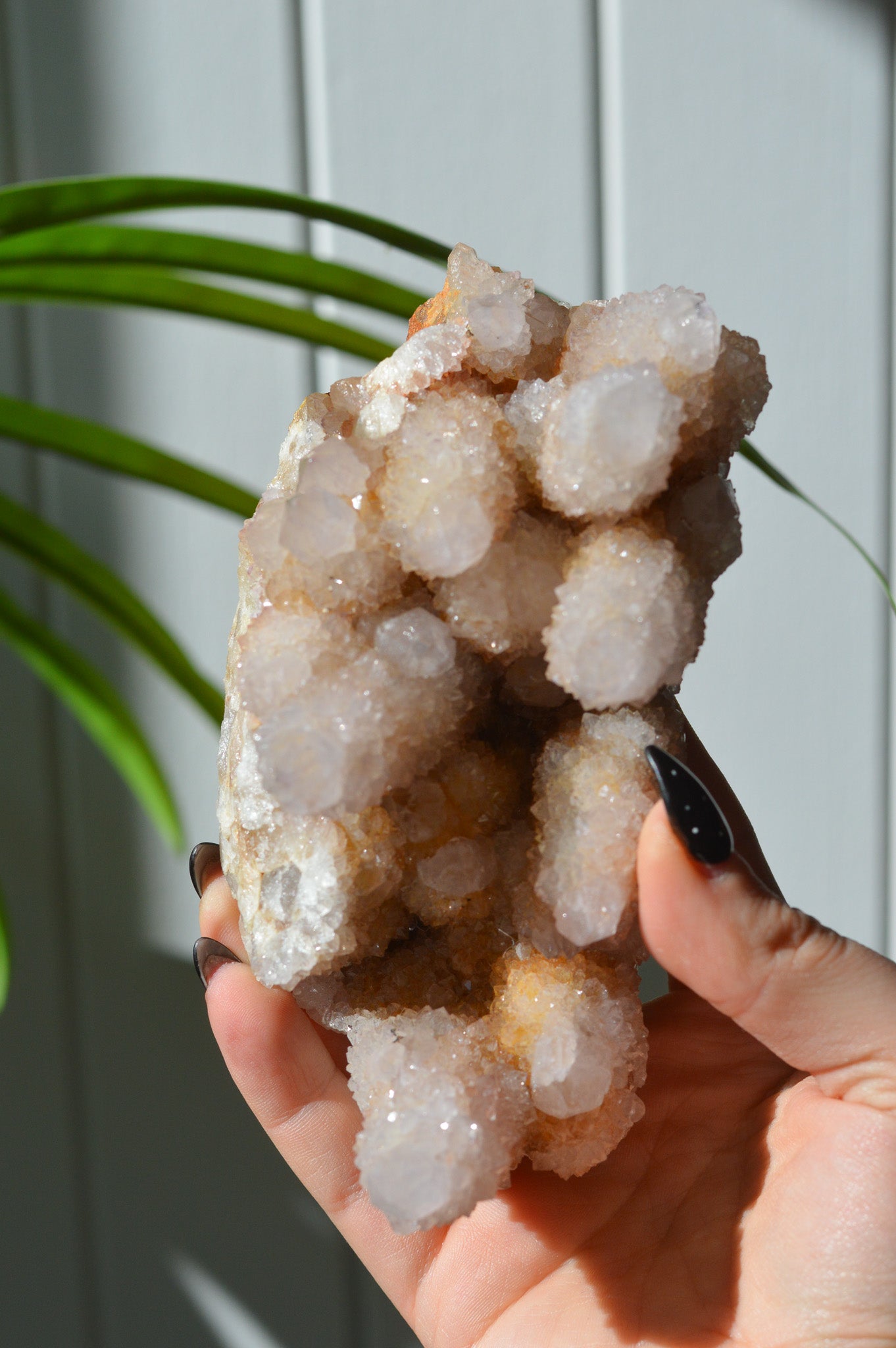 Spirit Amethyst Cluster