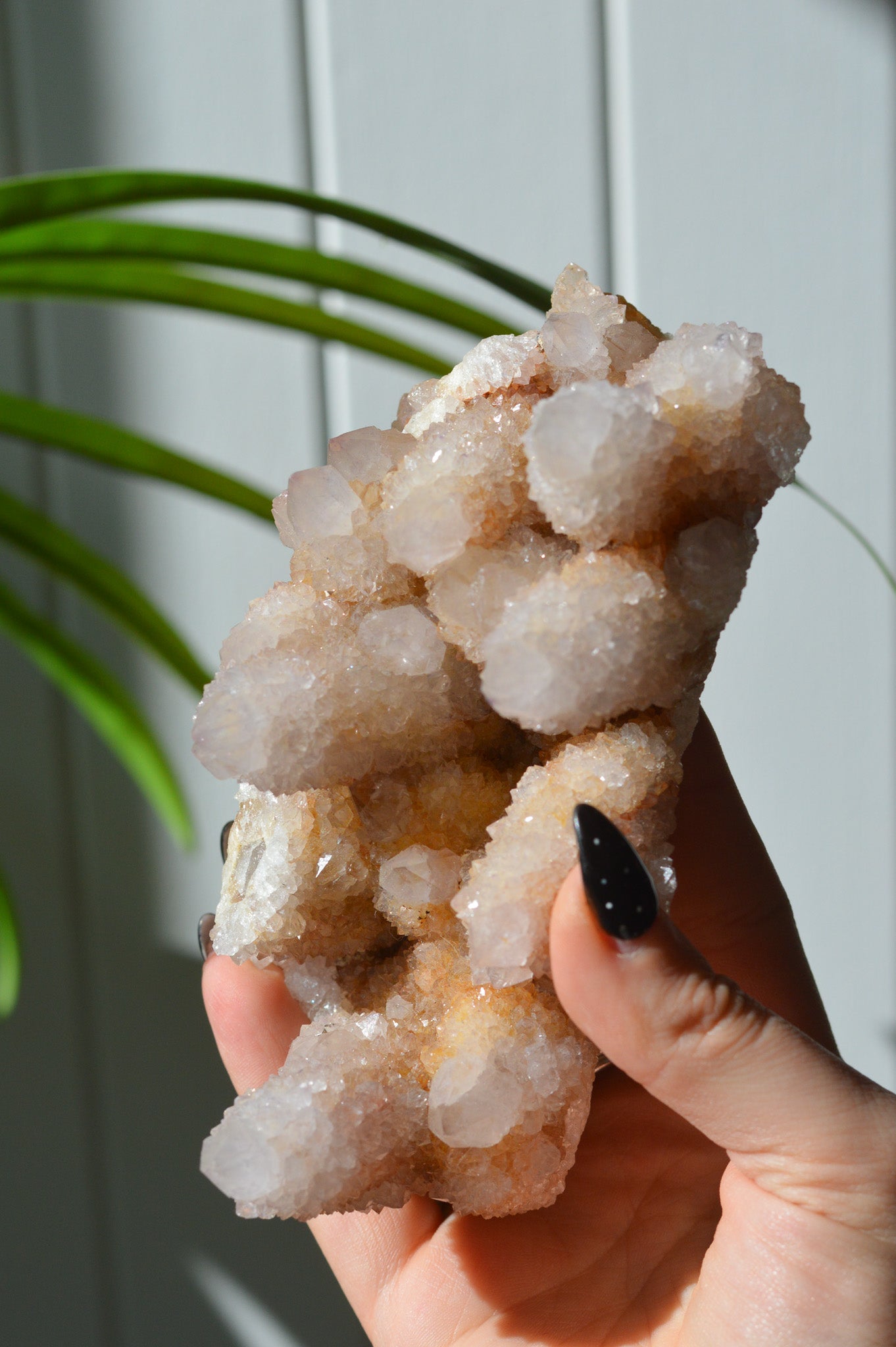 Spirit Amethyst Cluster