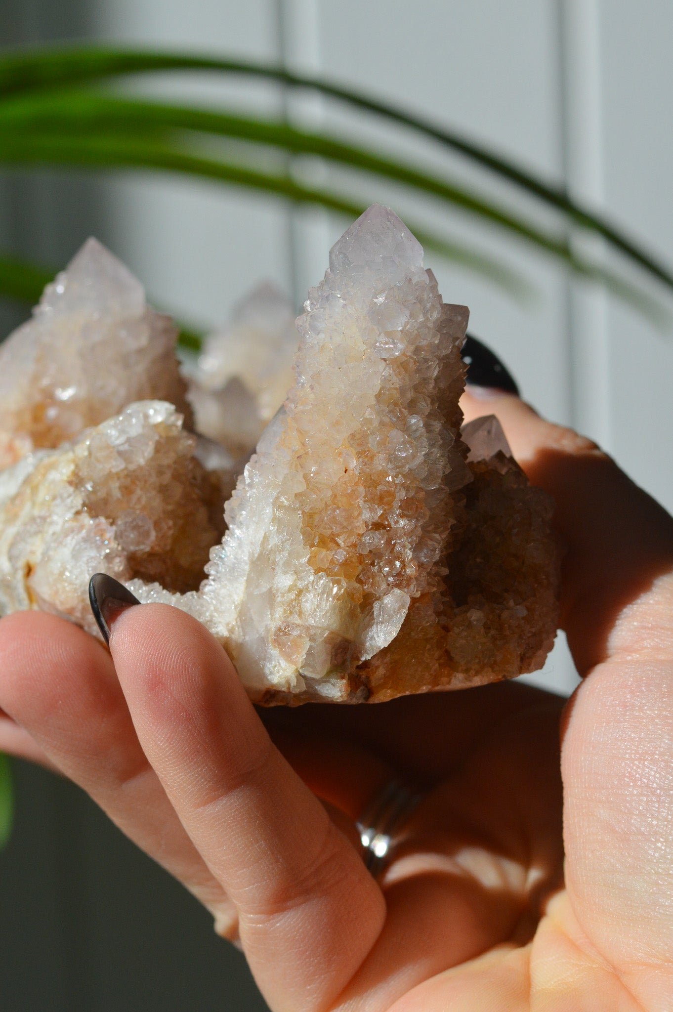 Spirit Amethyst Cluster