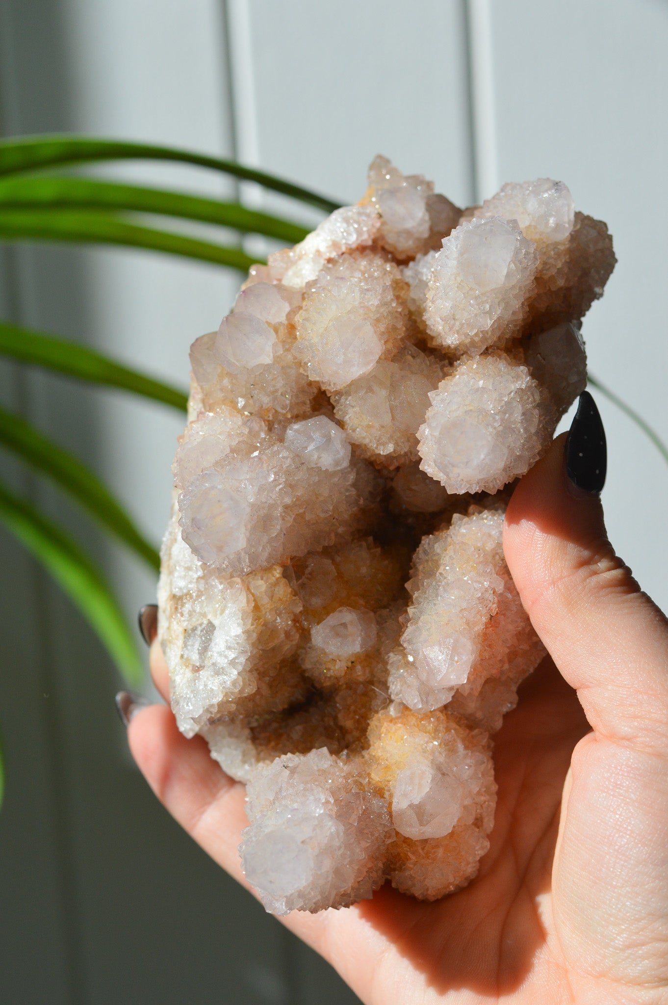 Spirit Amethyst Cluster