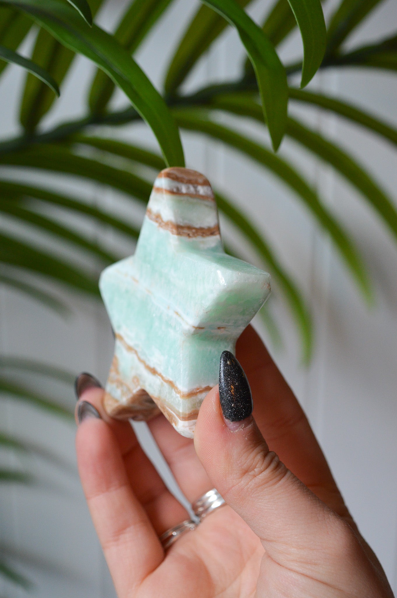 Caribbean Calcite Star