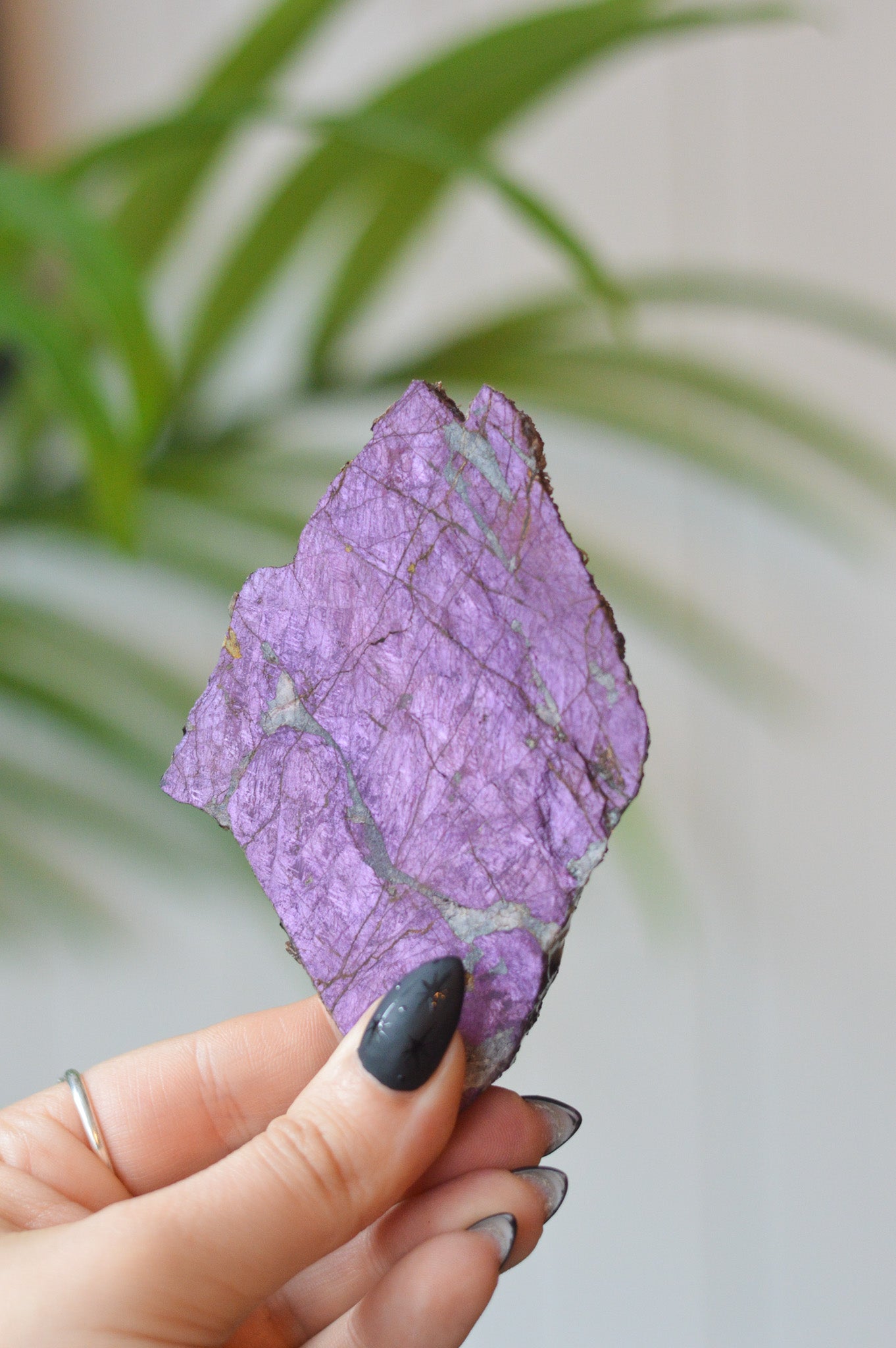 Purpurite Slice