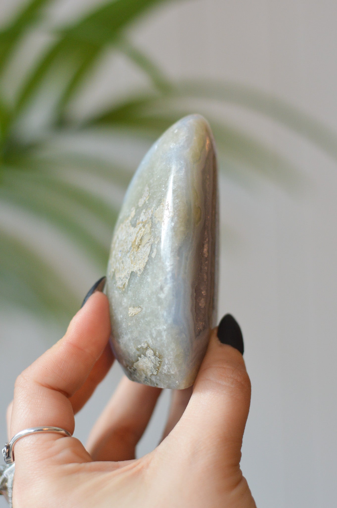 Blue Lace Agate Freeform