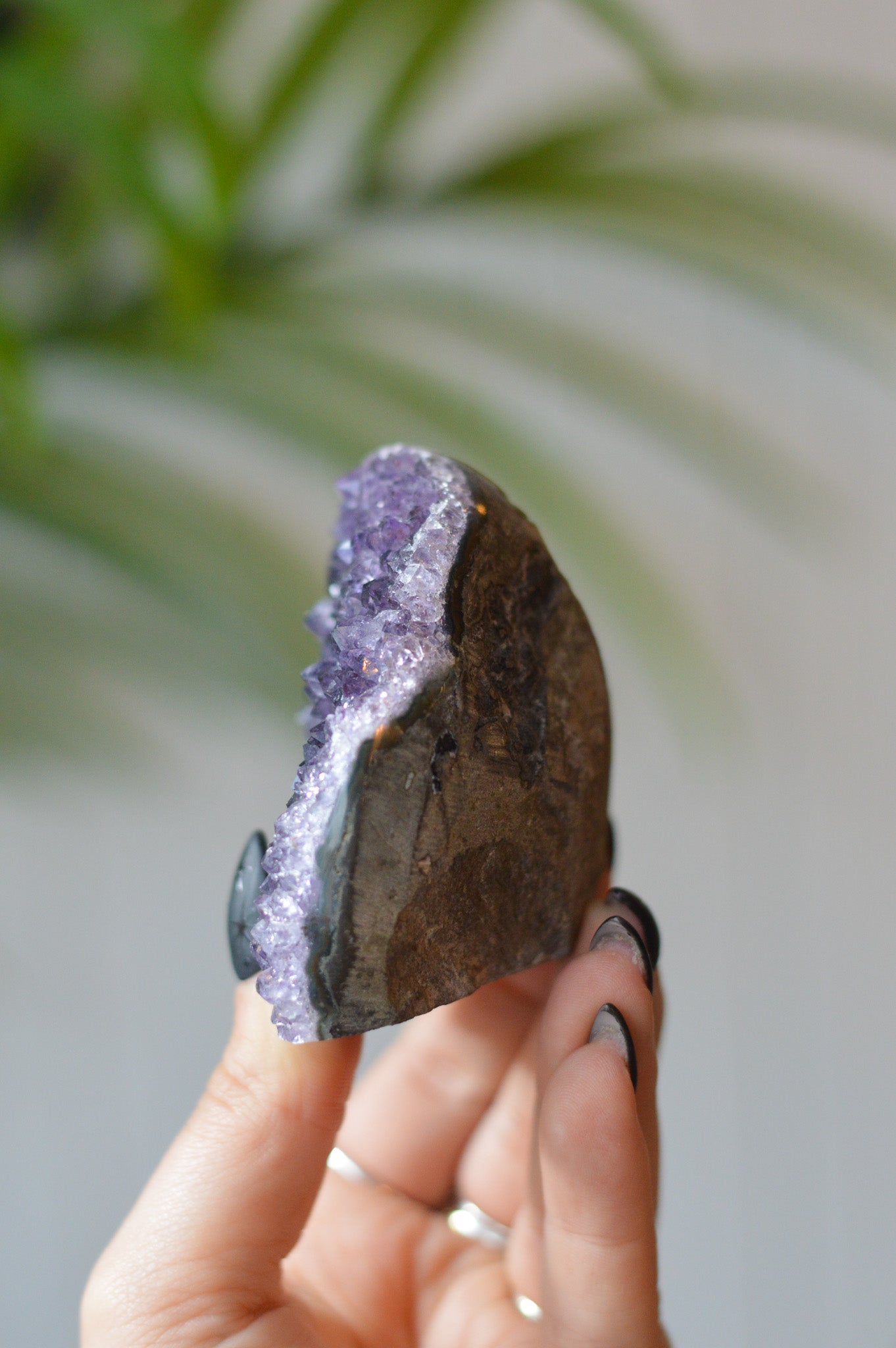 Amethyst Druzy Freeform