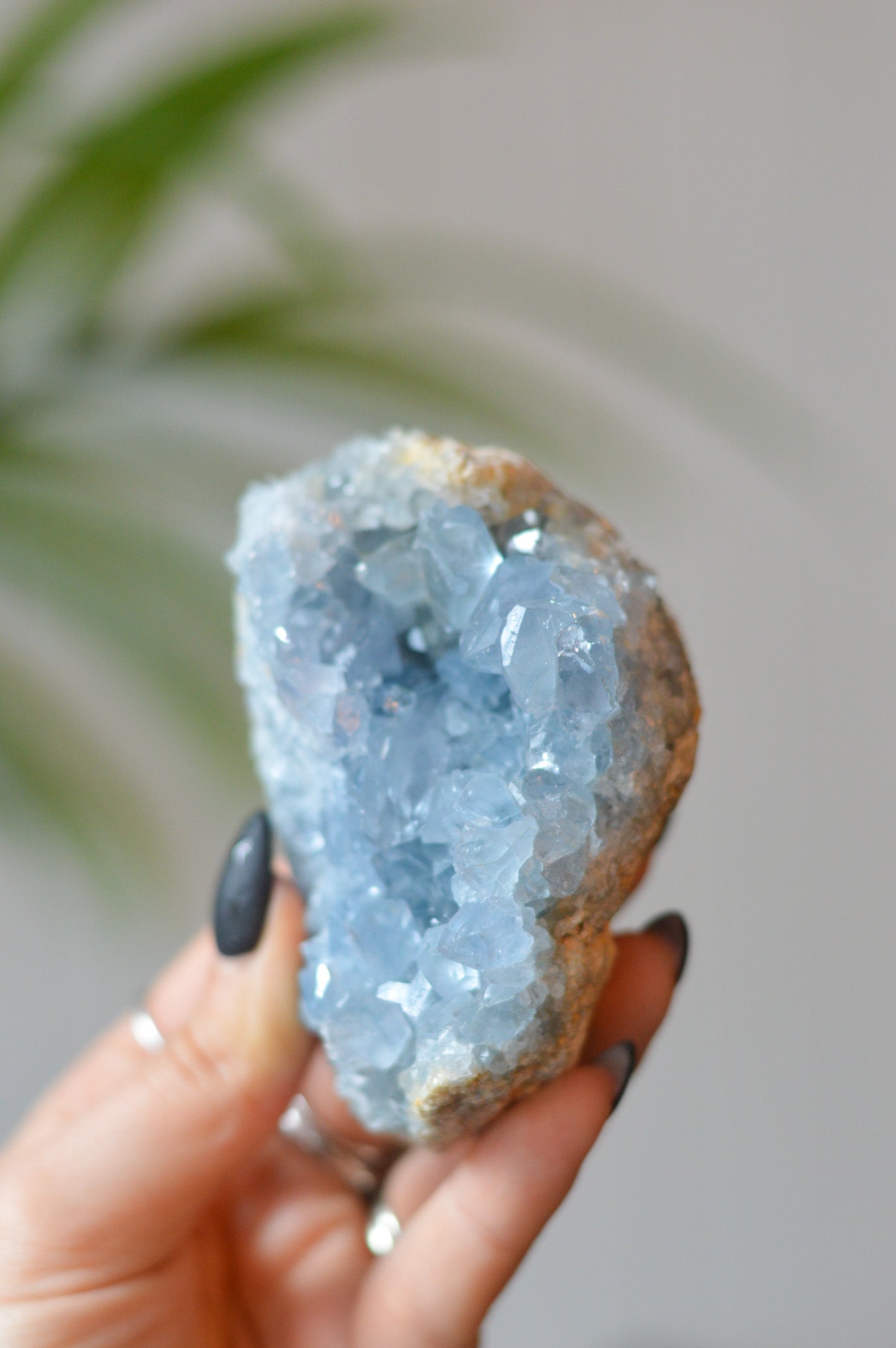 Celestite Cluster