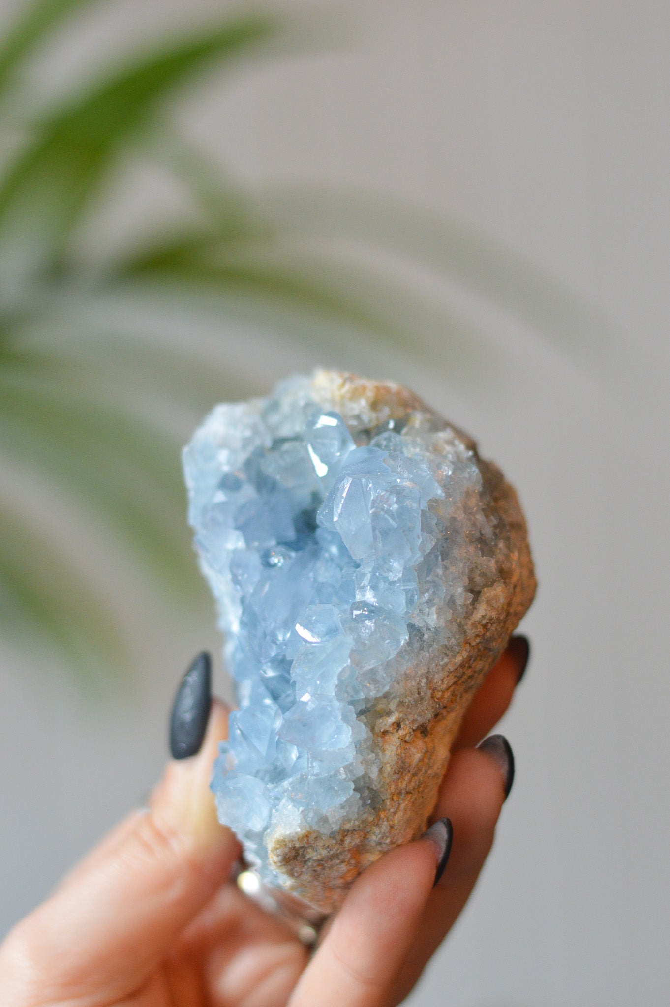 Celestite Cluster