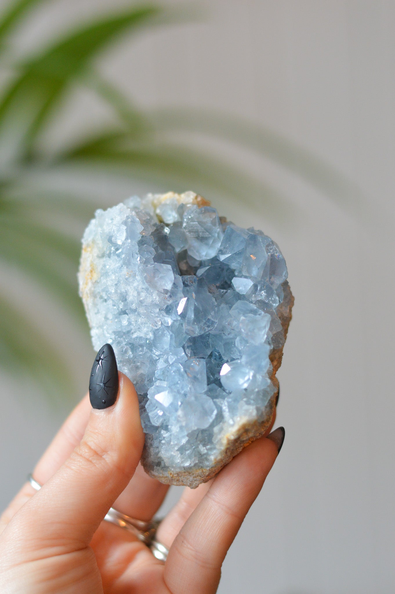 Celestite Cluster