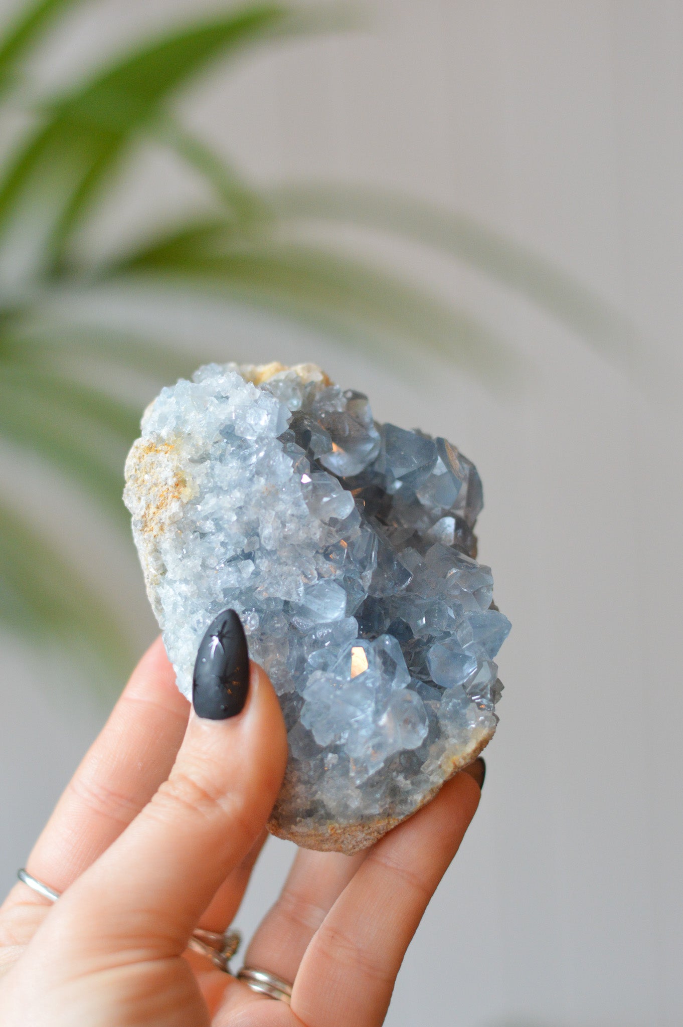 Celestite Cluster