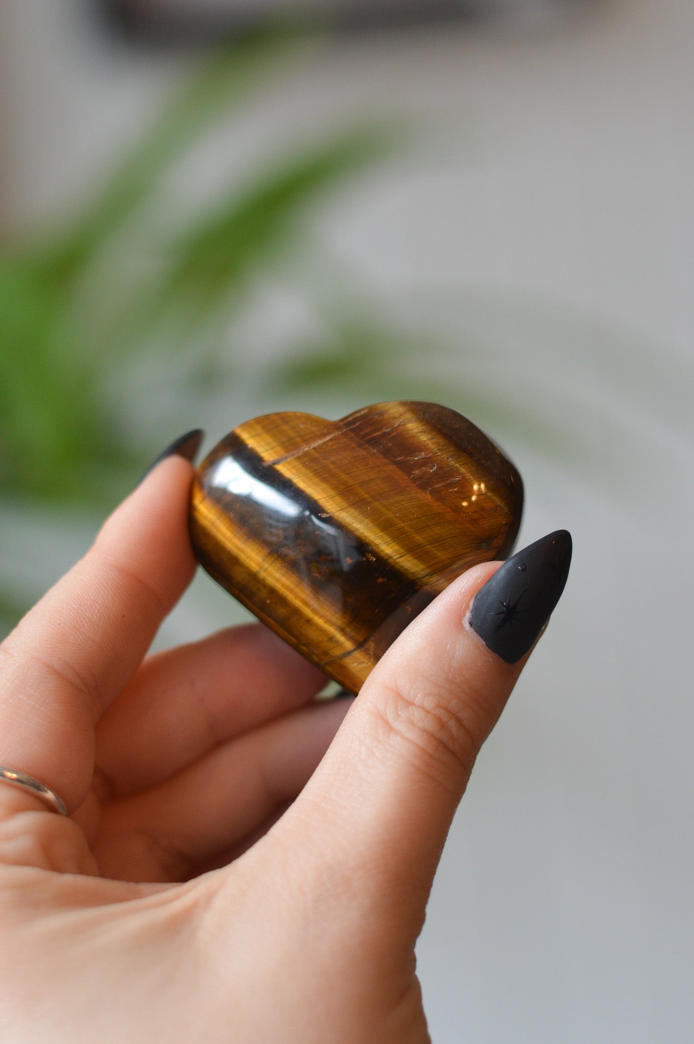 Tigers Eye Heart