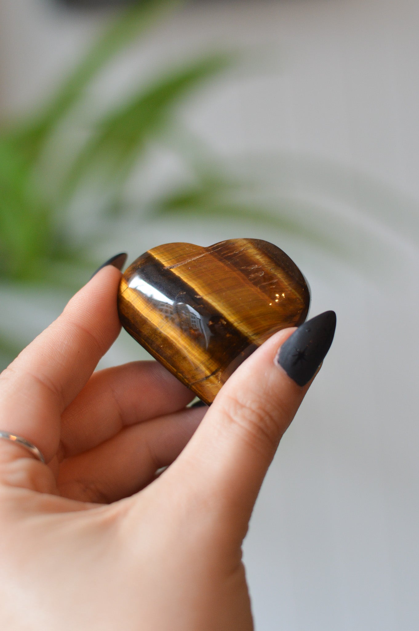 Tigers Eye Heart