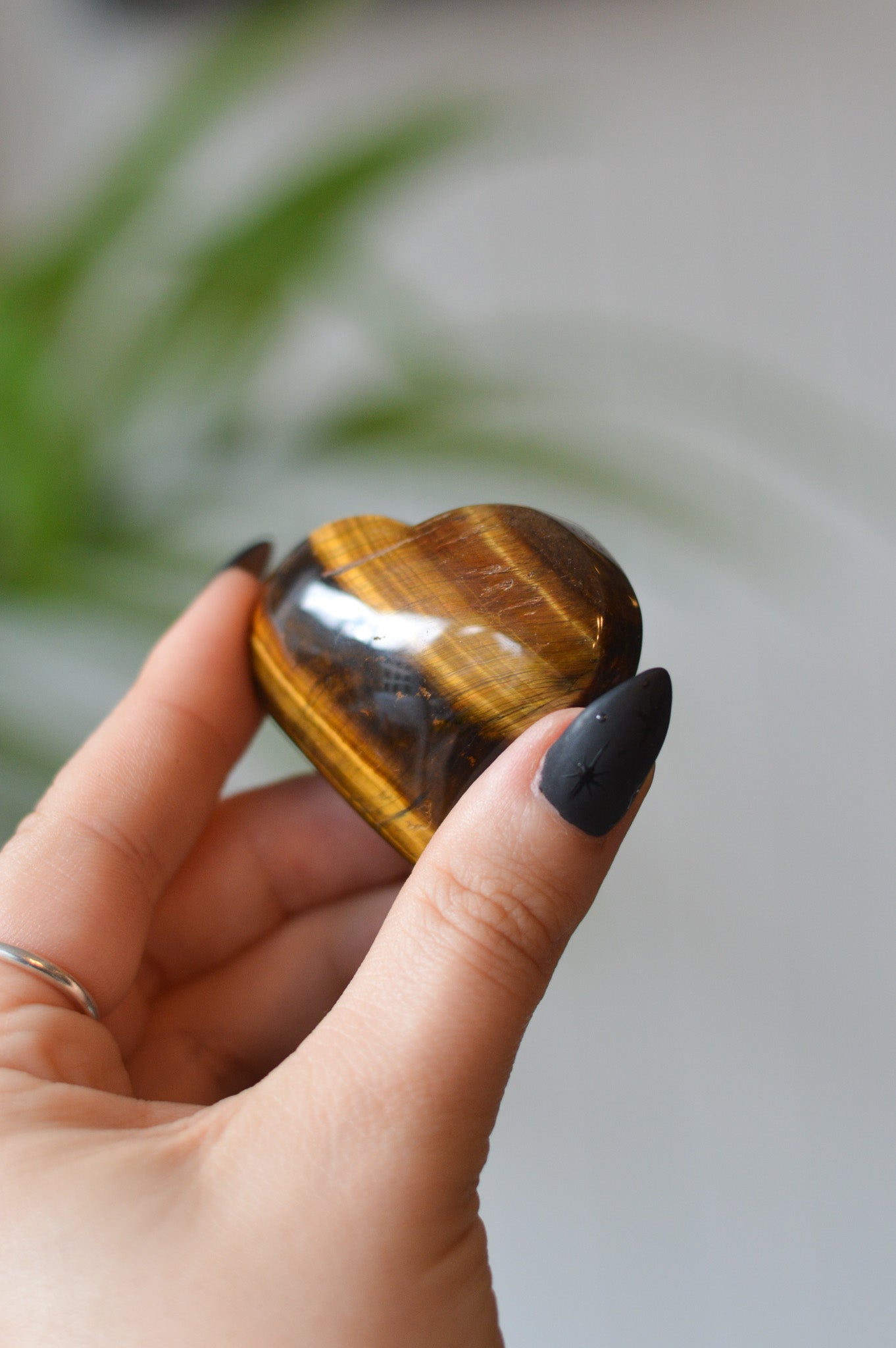 Tigers Eye Heart