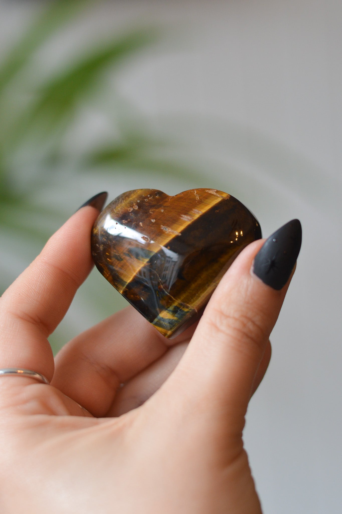 Tigers Eye Heart
