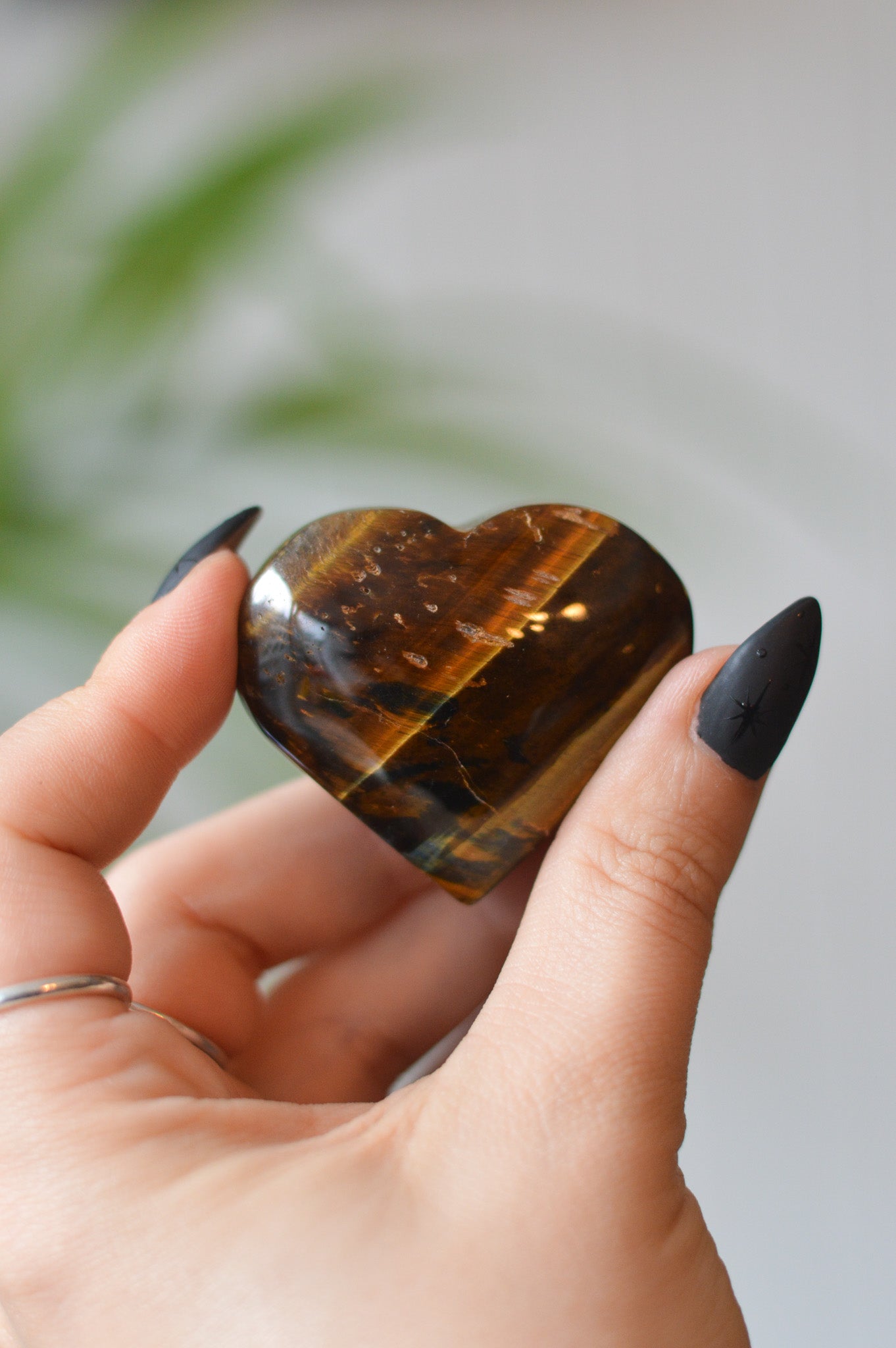 Tigers Eye Heart