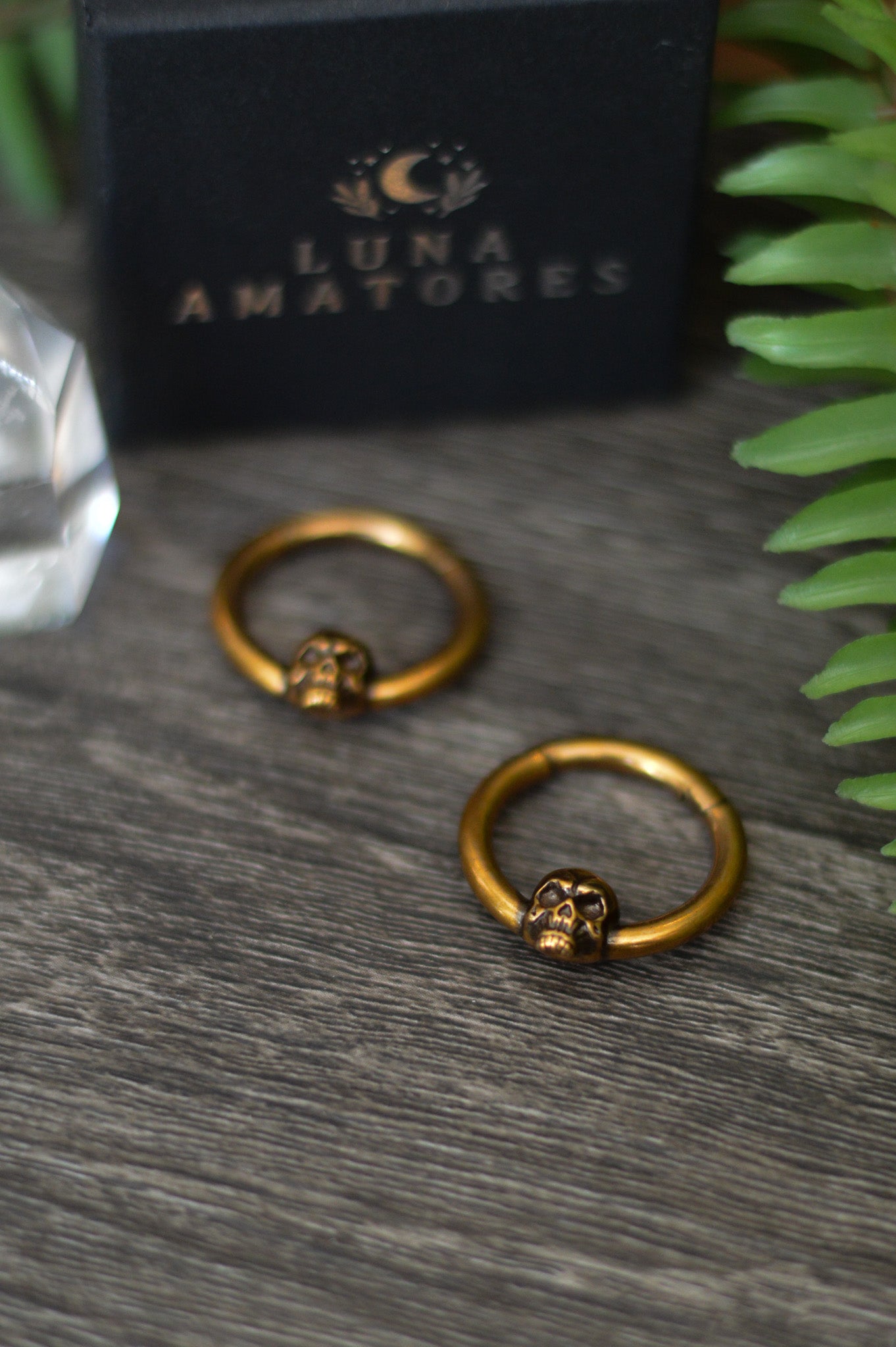 Skull Ear Hangers