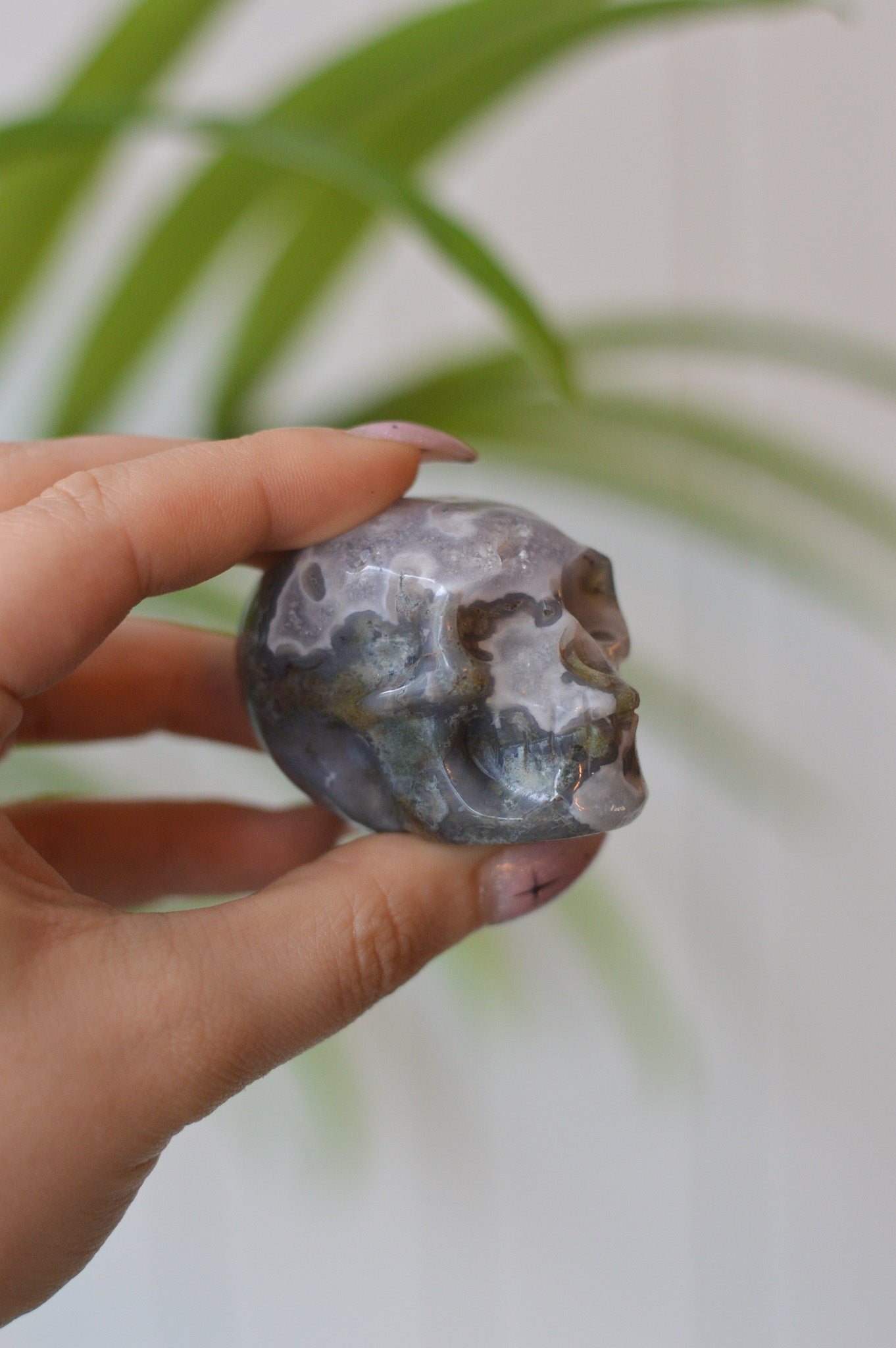 Moss Agate Skull