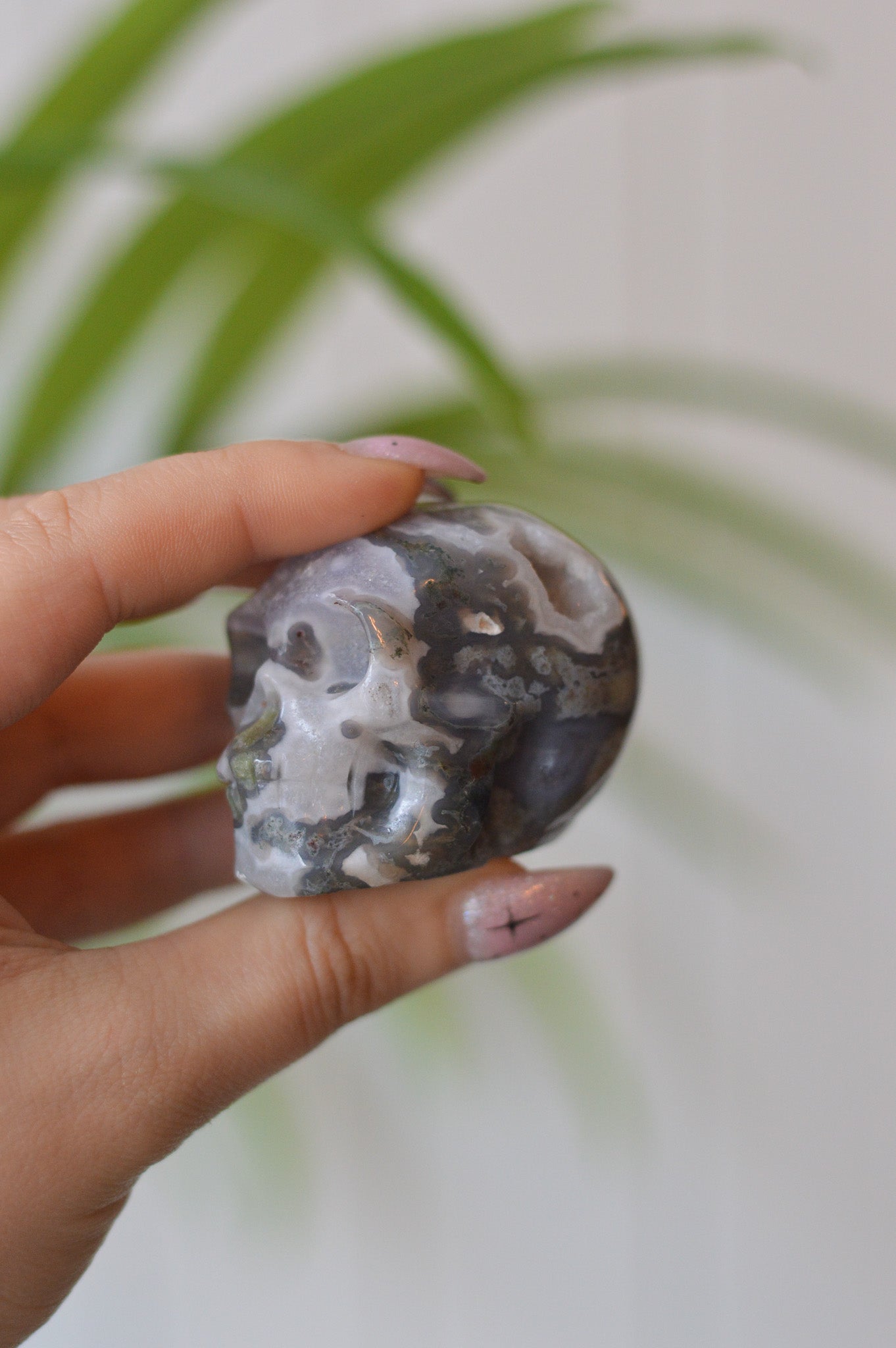 Moss Agate Skull