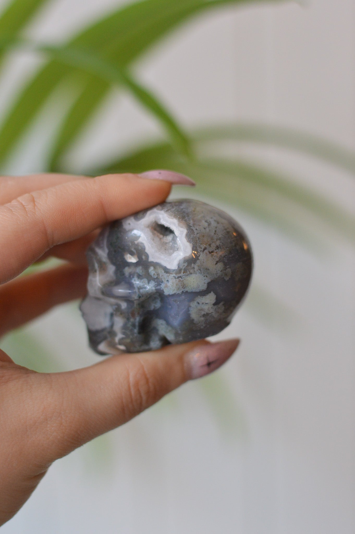 Moss Agate Skull