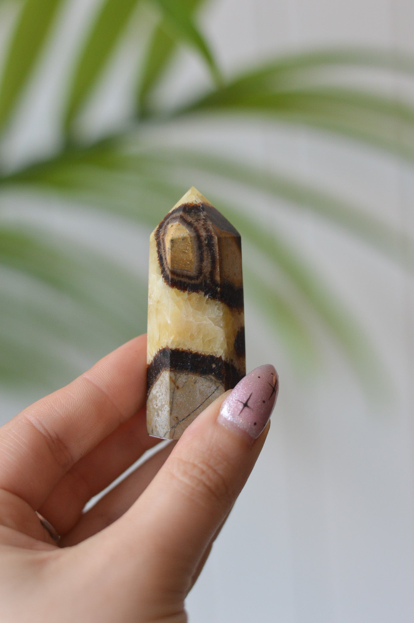 Septarian Point