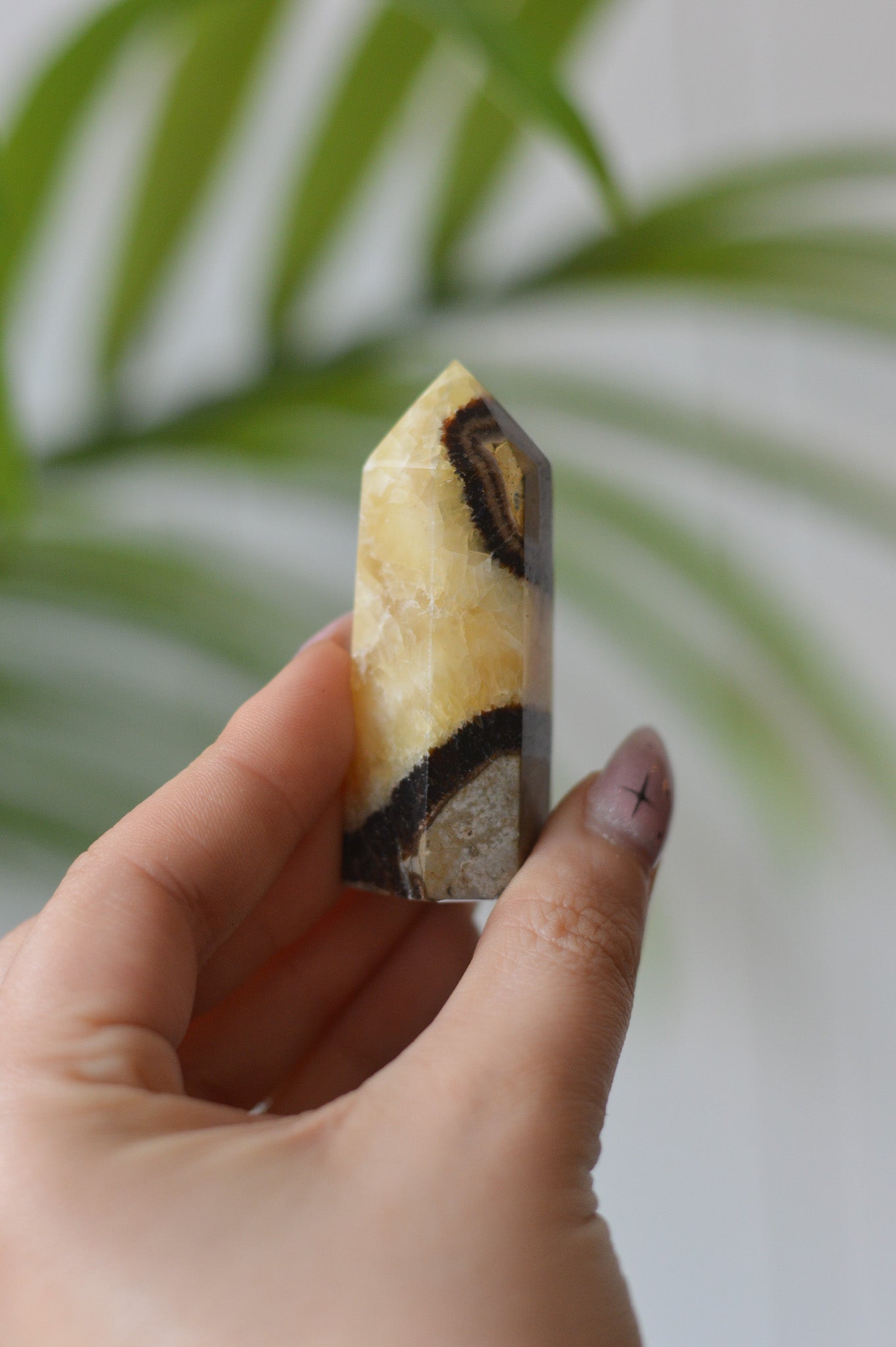 Septarian Point