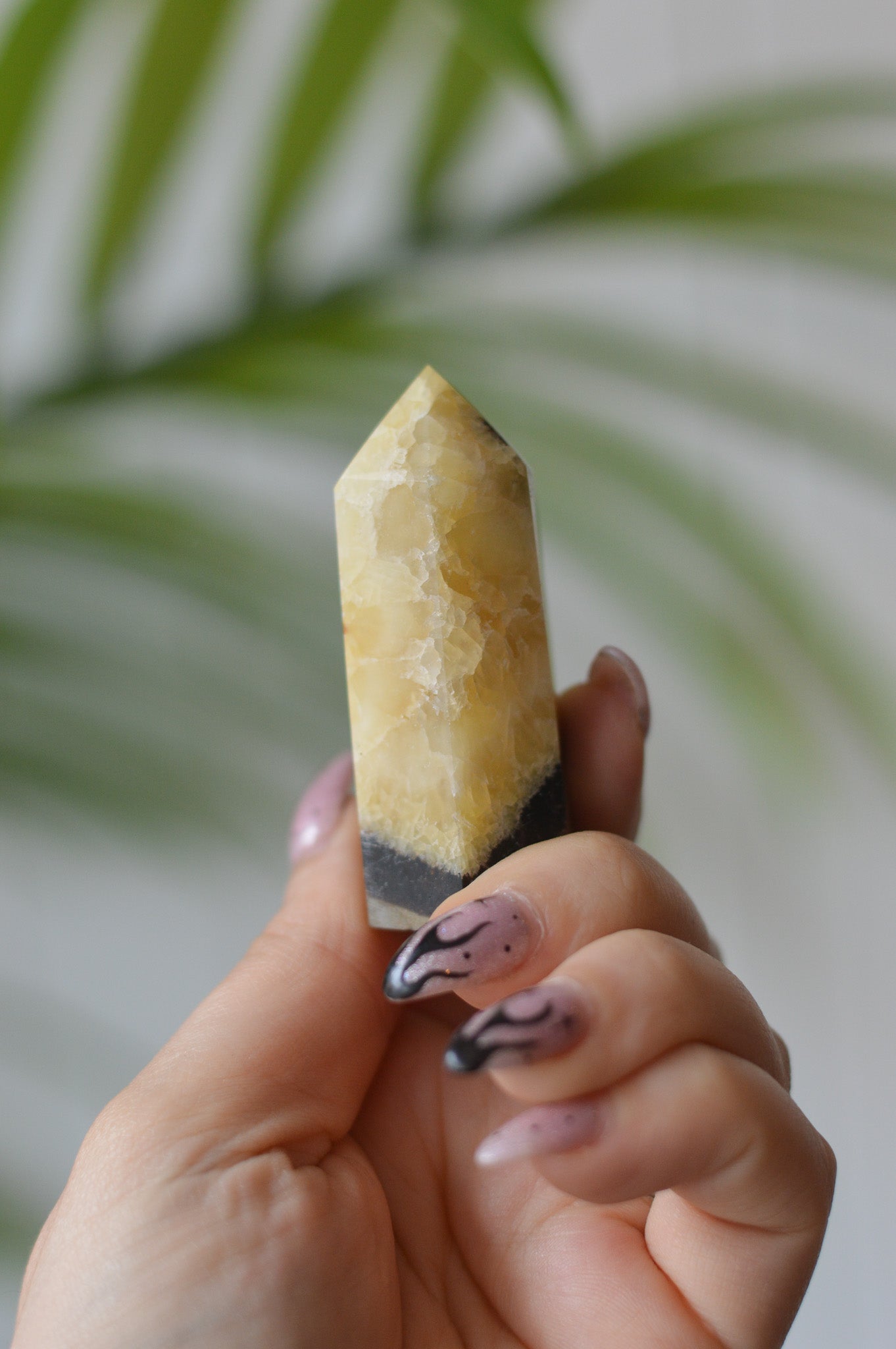Septarian Point