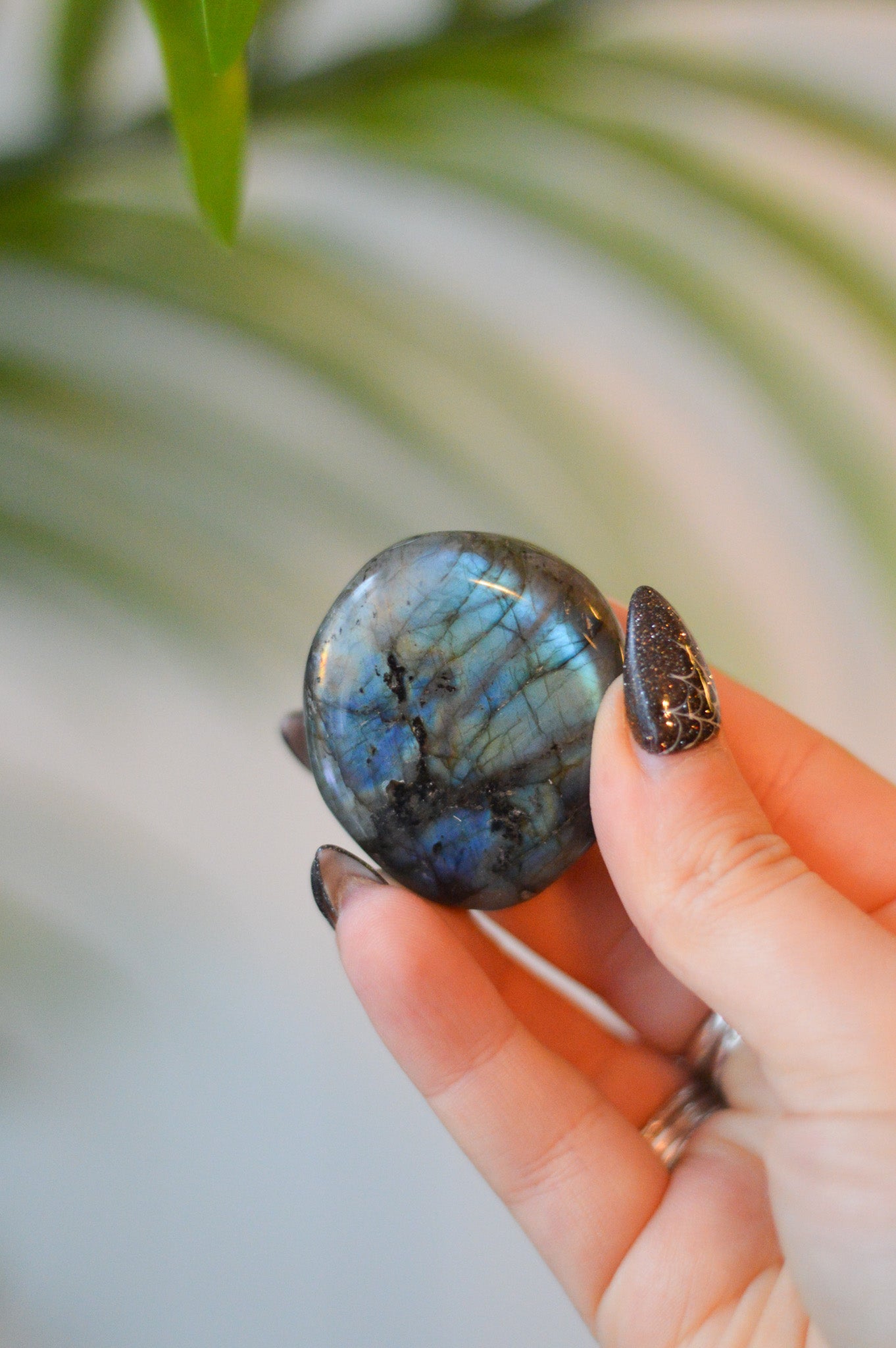 Labradorite Palm Stone #3