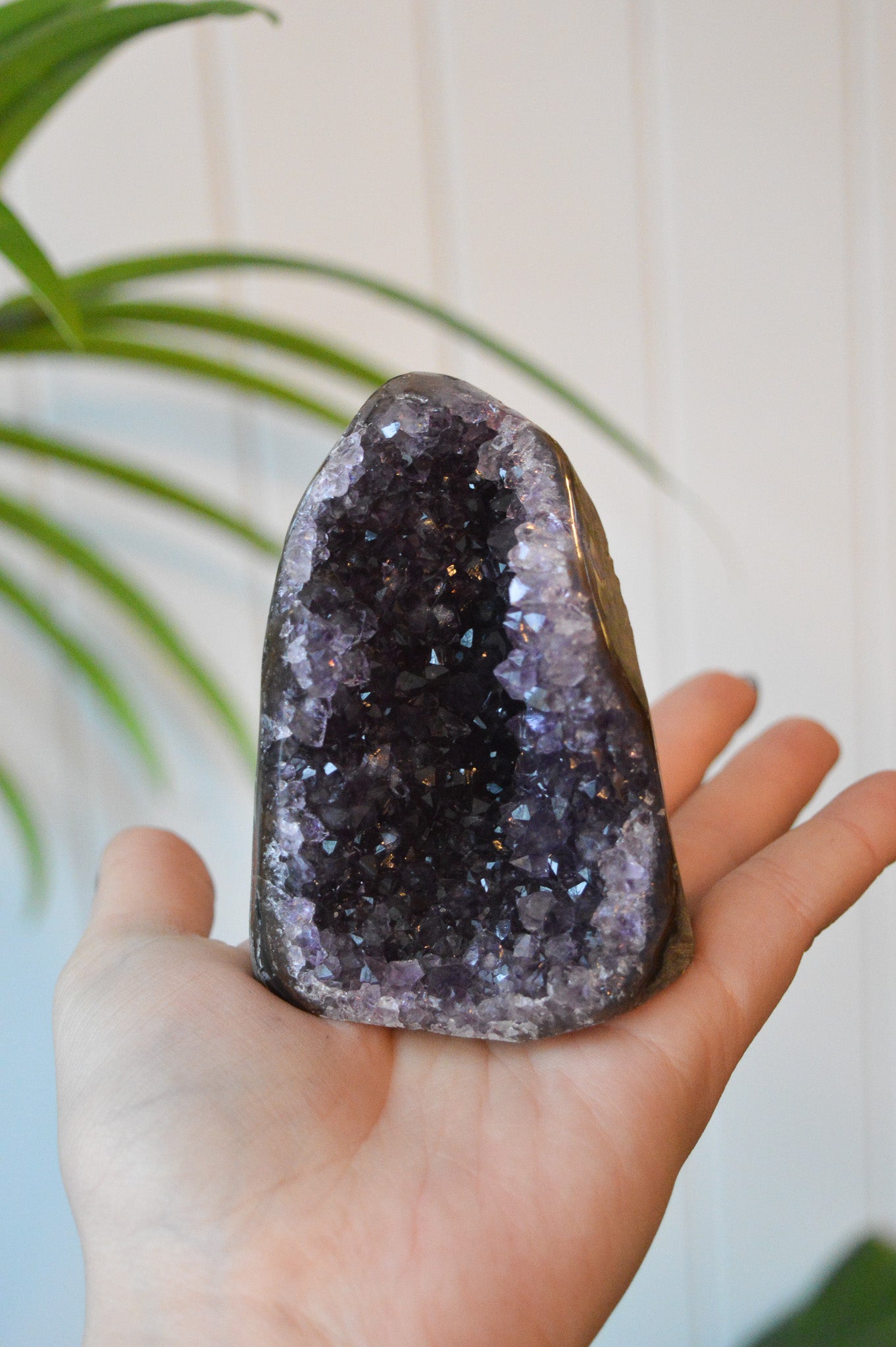 Amethyst Druzy Cut Base Freeform #1