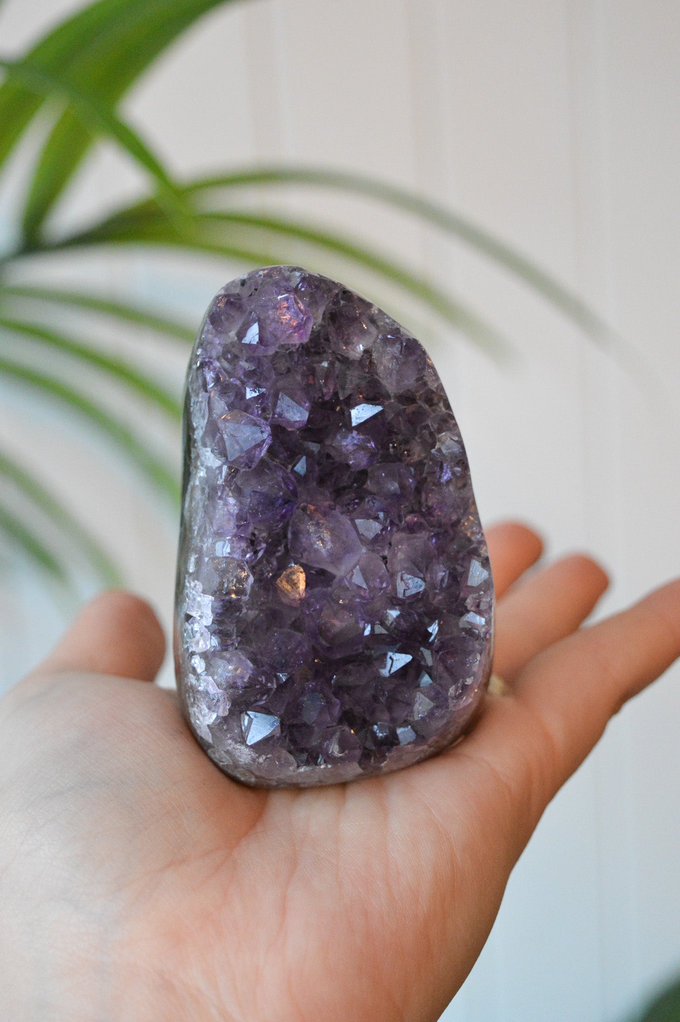 Amethyst Druzy Cut Base Freeform #2