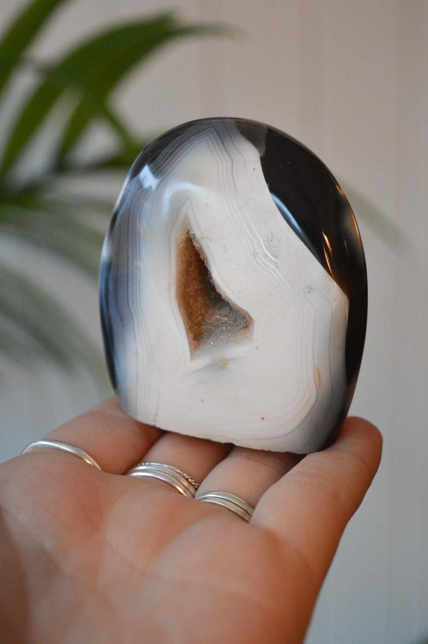 Orca Agate Cut Base Freeform