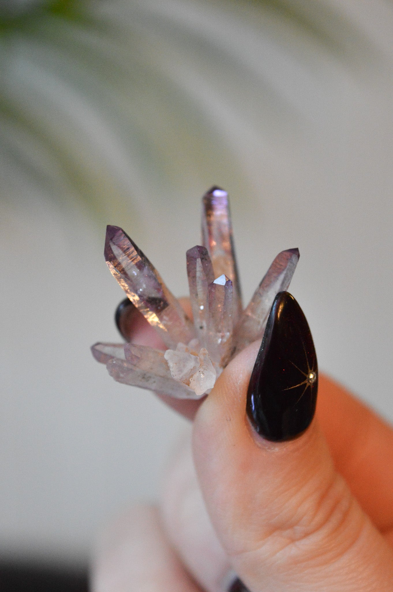 Veracruz Amethyst Starburst Cluster #1