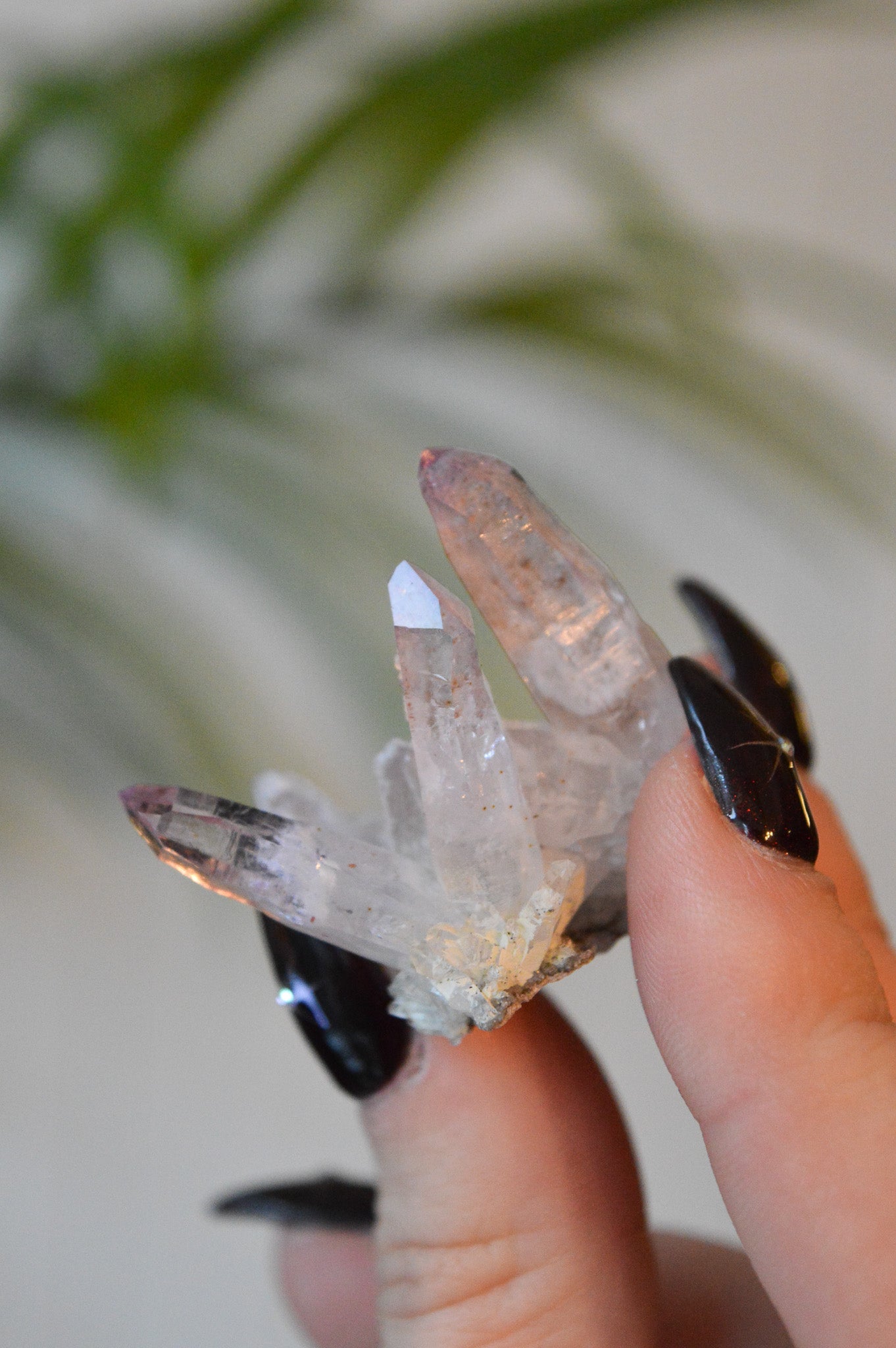 Veracruz Amethyst Starburst Cluster #2