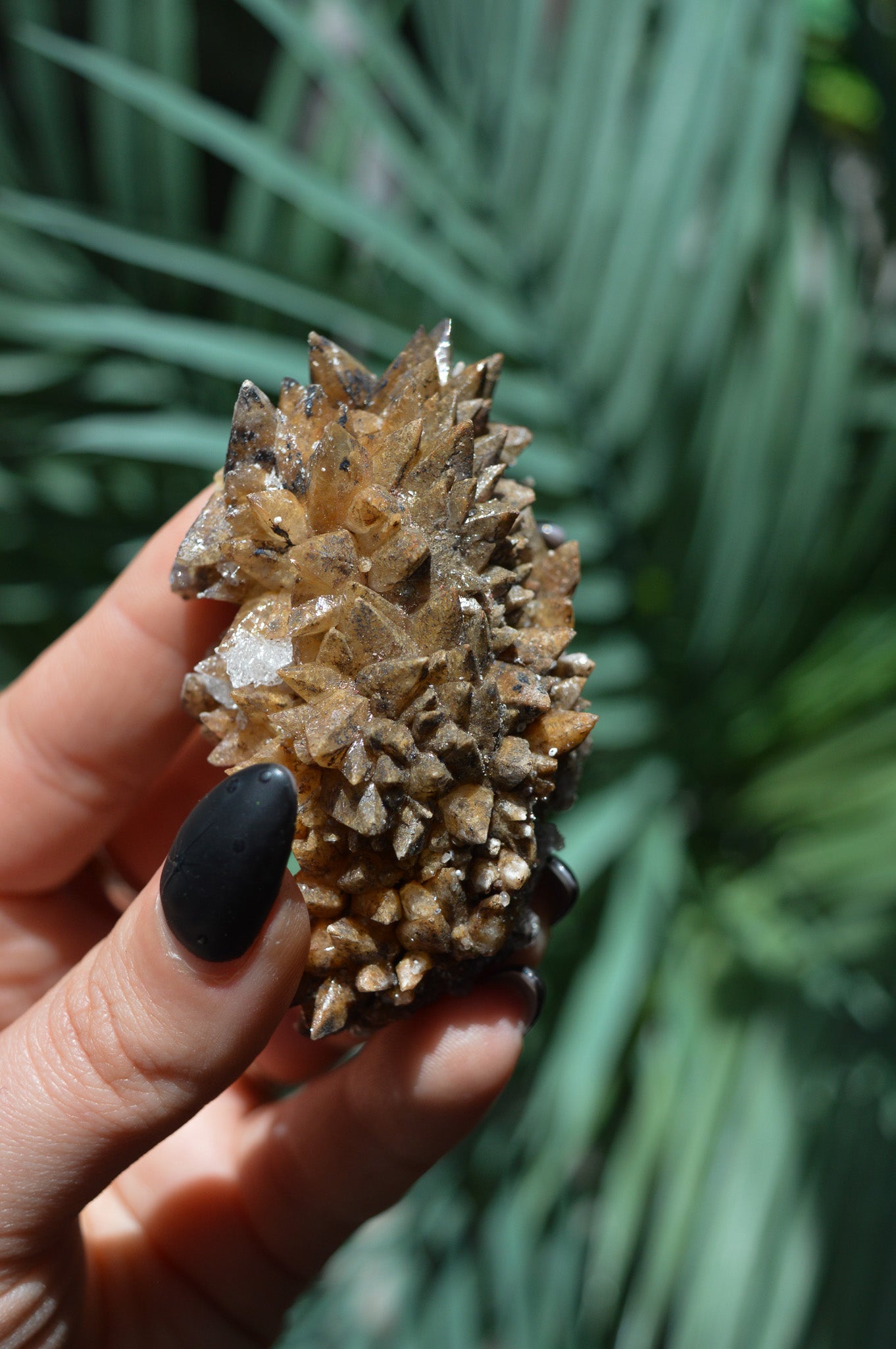 Dogtooth Calcite Specimen #1