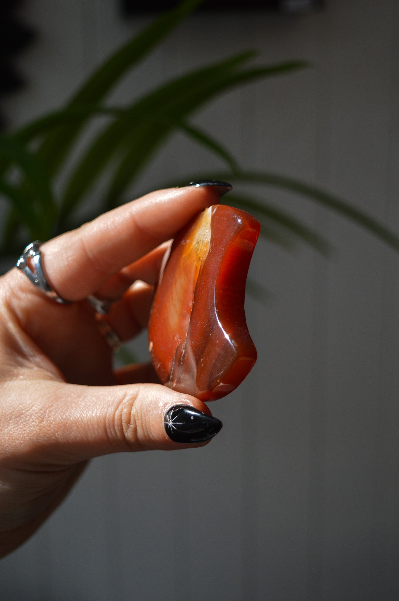 Carnelian Moon #2