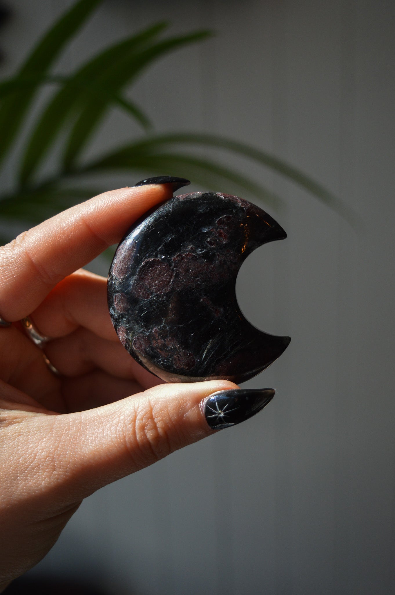 Garnet in Arfvedsonite Moon #1