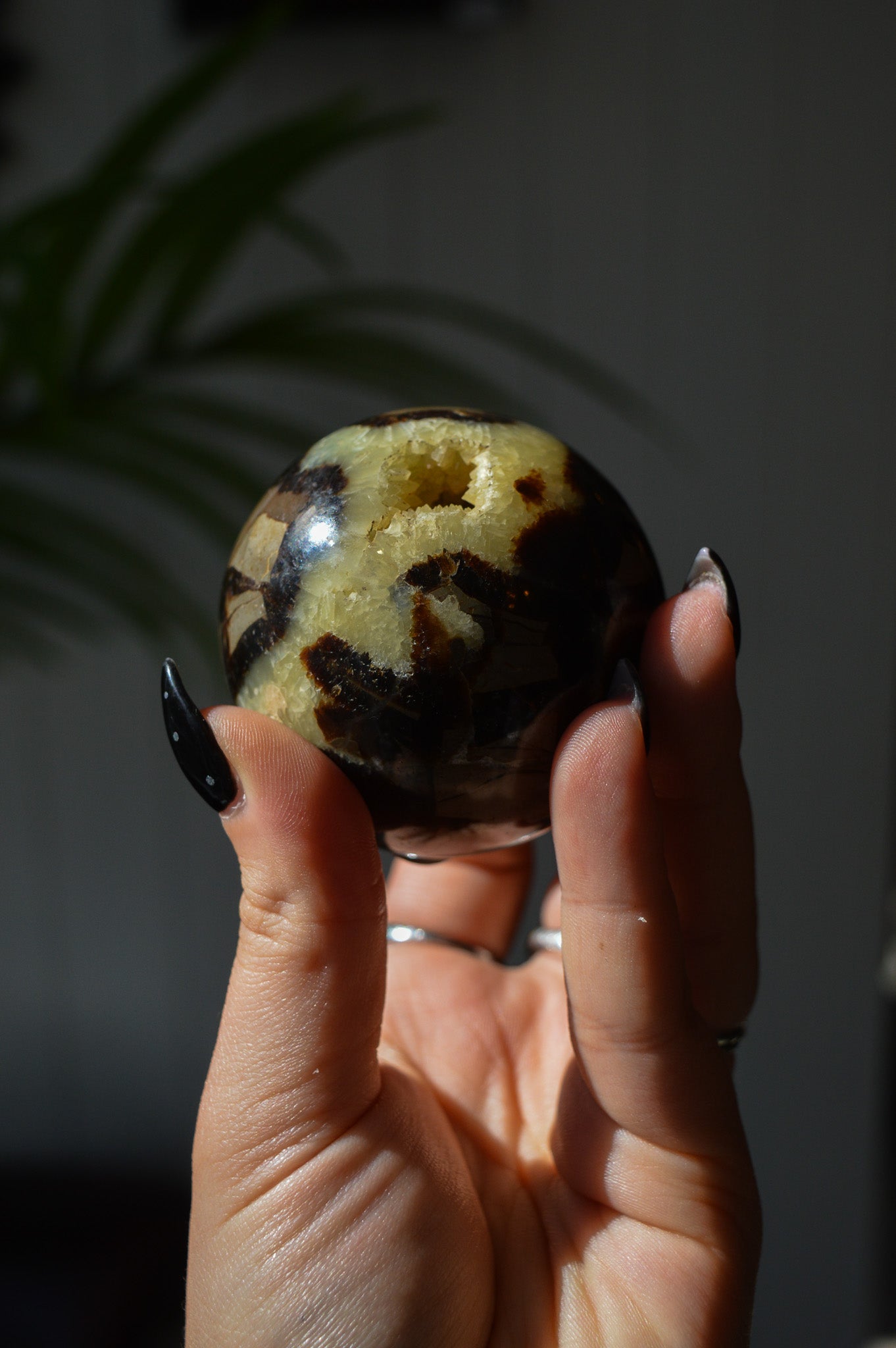 Septarian Sphere