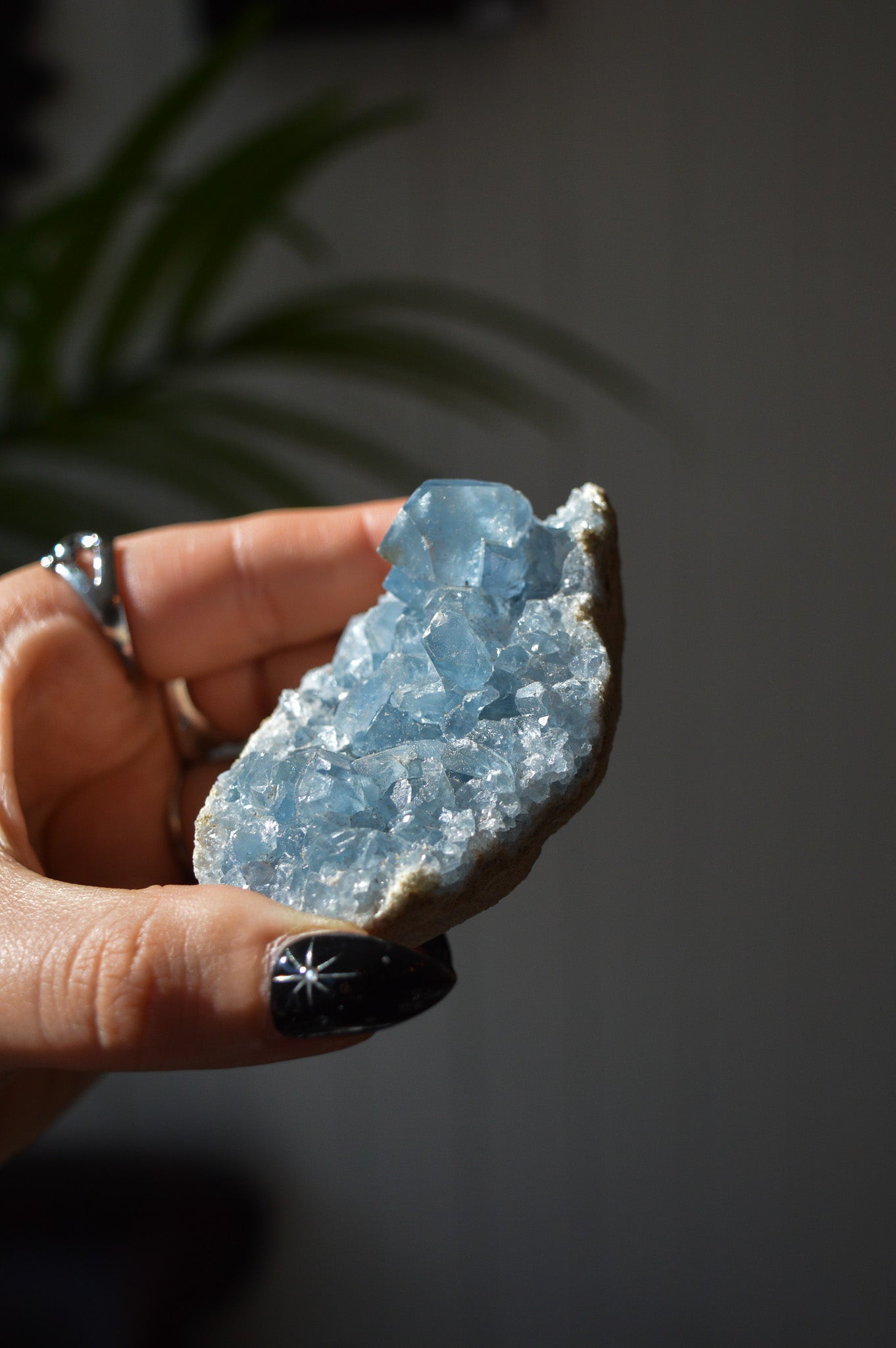 Celestite Cluster #2