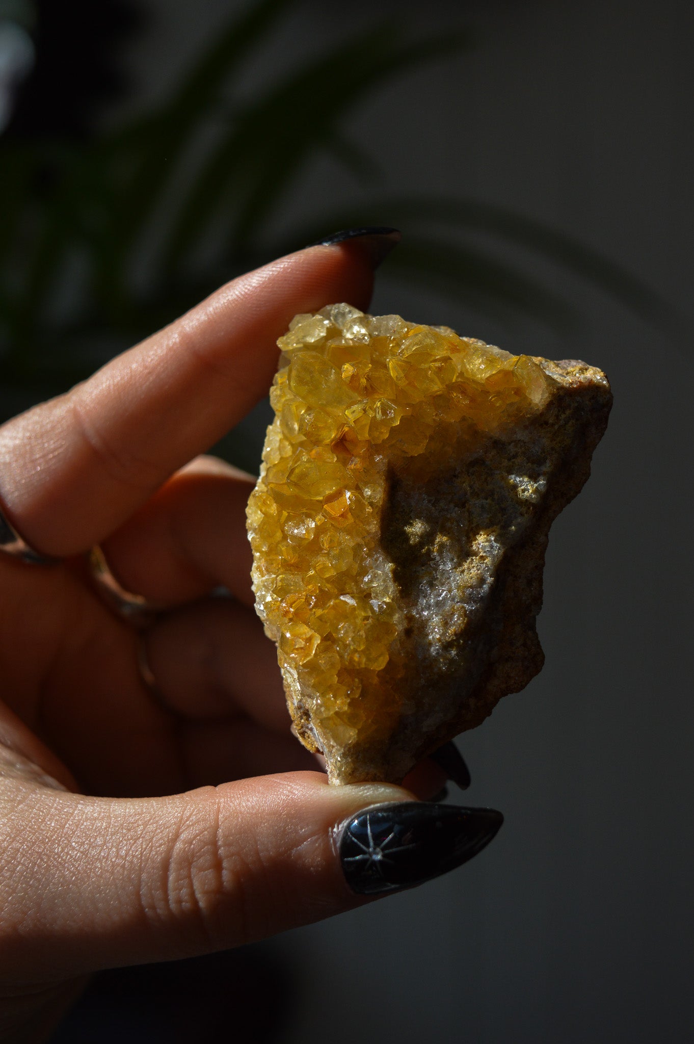 Golden Healer Quartz Specimen #2