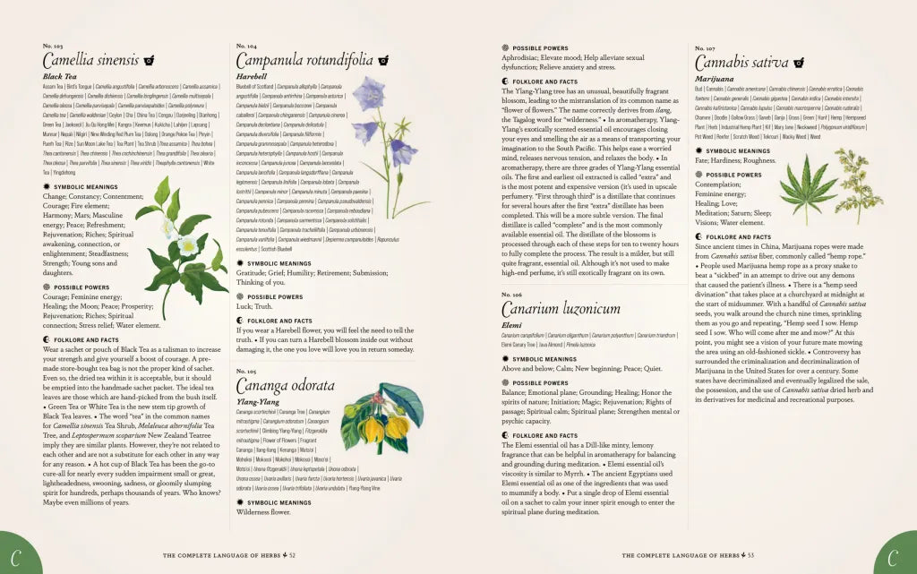 The Complete Language Of Herbs