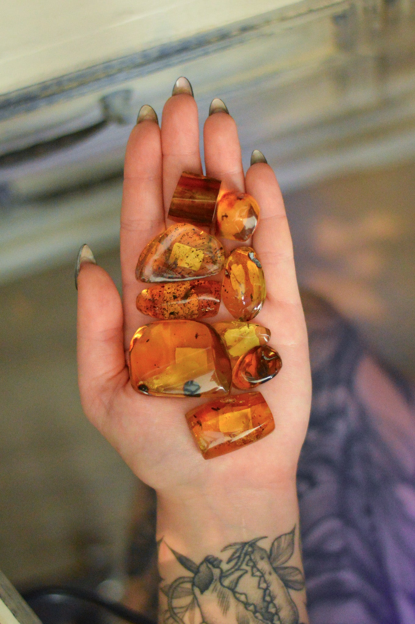 Chiapas Amber With Bugs #9