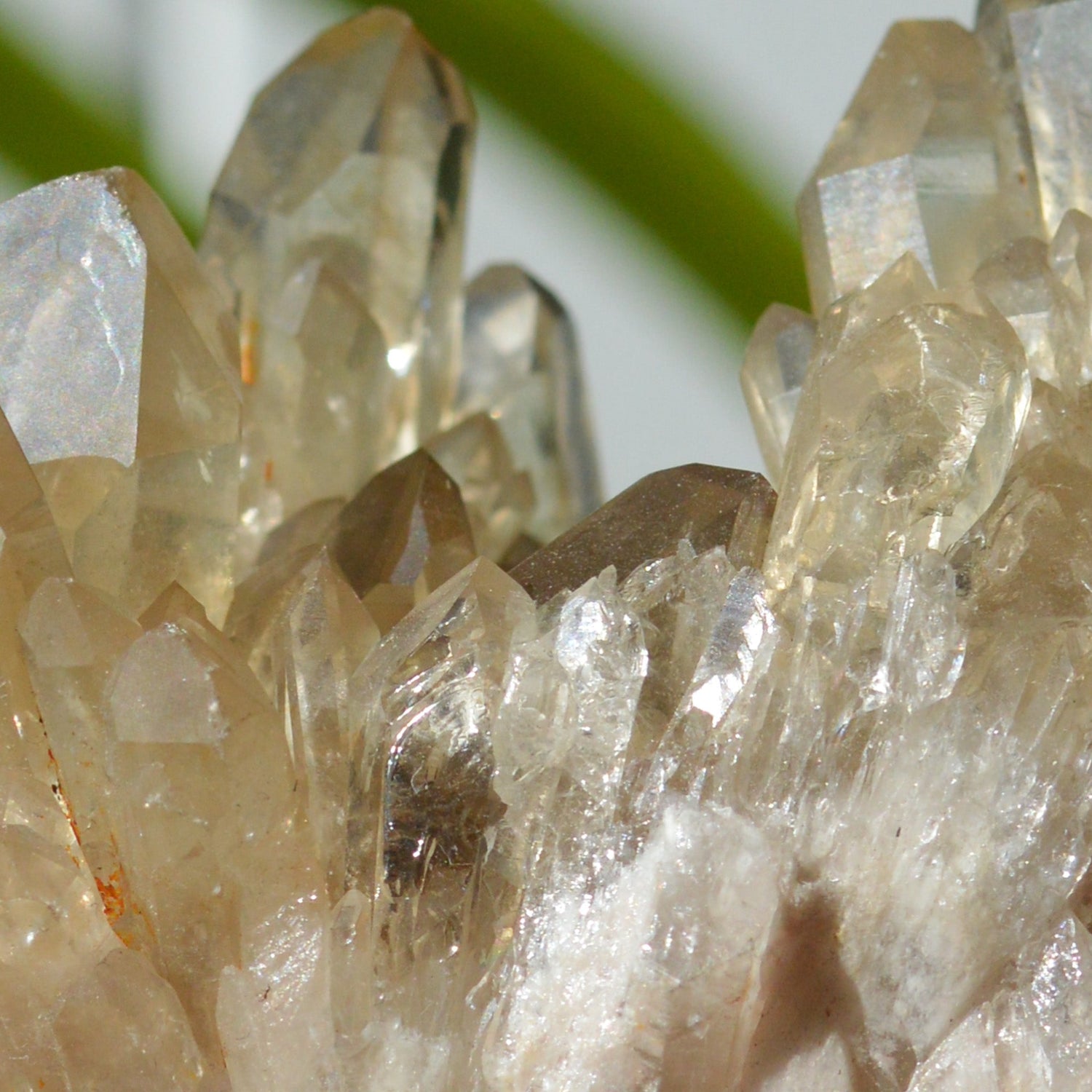 Citrine