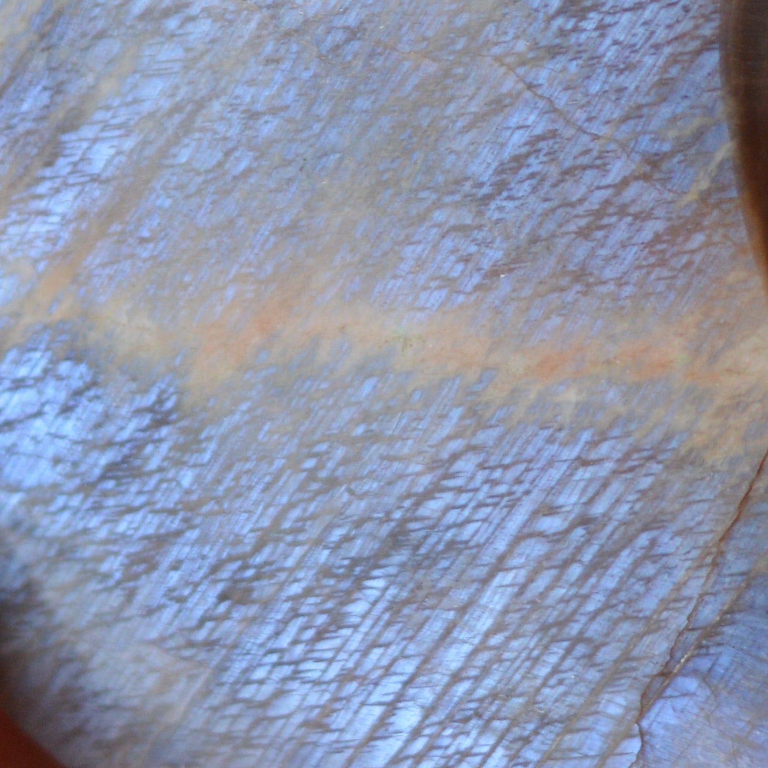 Moonstone