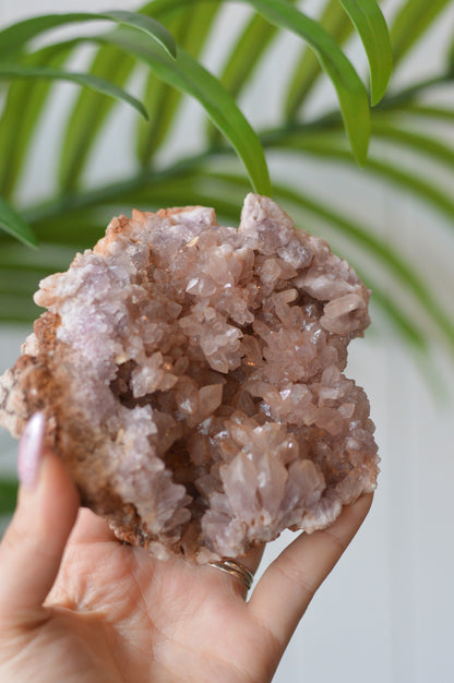 Pink Amethyst Cluster II