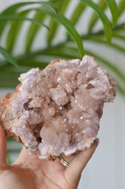 Pink Amethyst Cluster II
