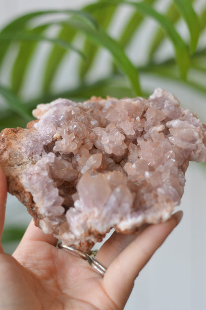 Pink Amethyst Cluster II