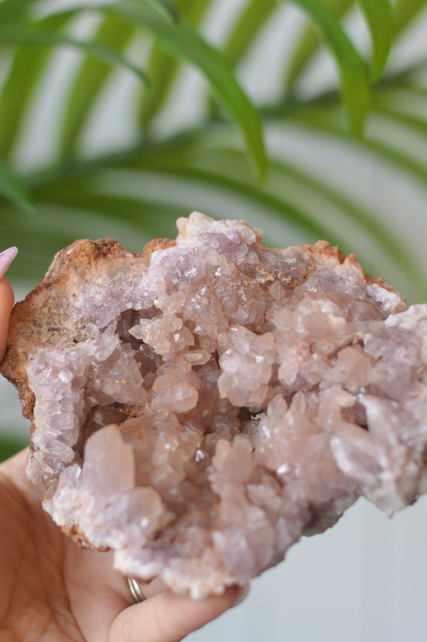 Pink Amethyst Cluster II
