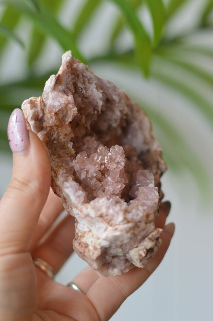 Pink Amethyst Cluster